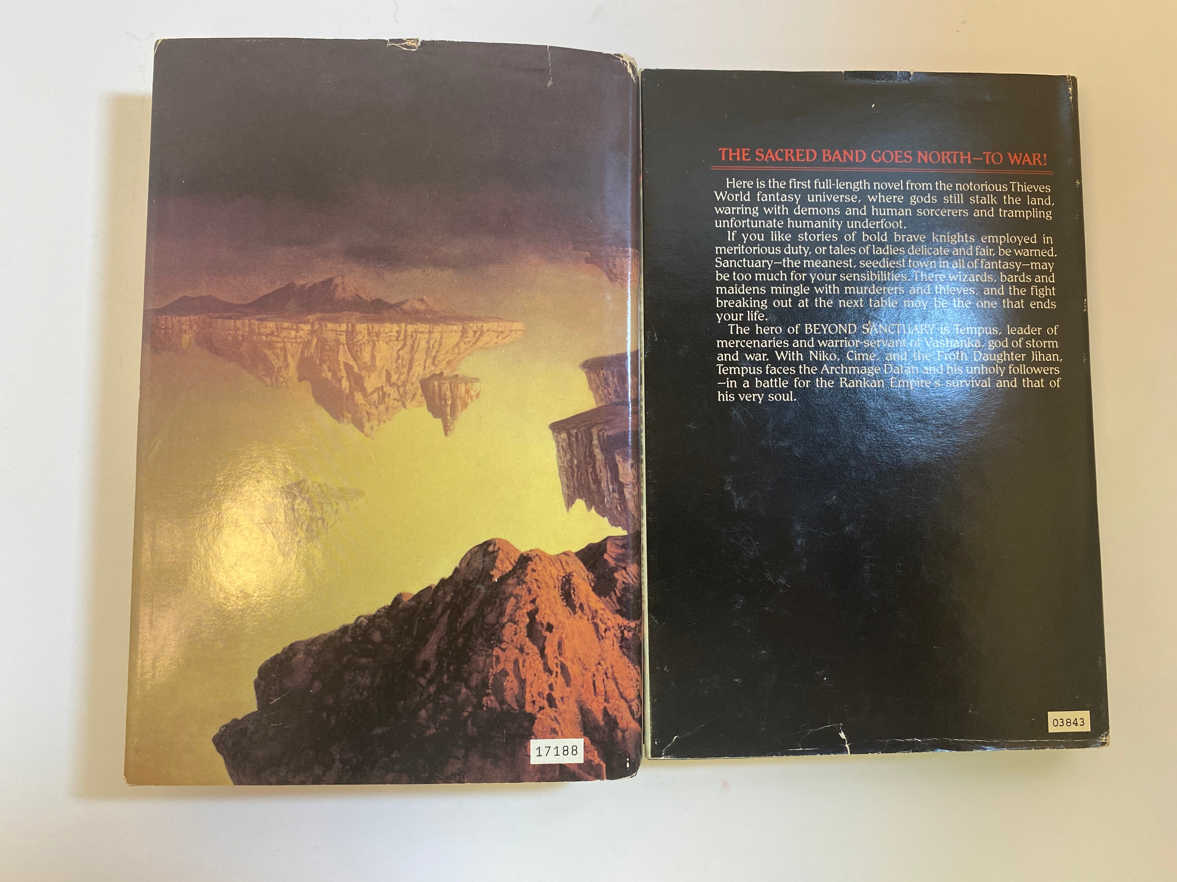 Lot of 2 HC Fantasy Beyond Sanctuary Dragon Wing Volume 1  HCDJ 1985-1990