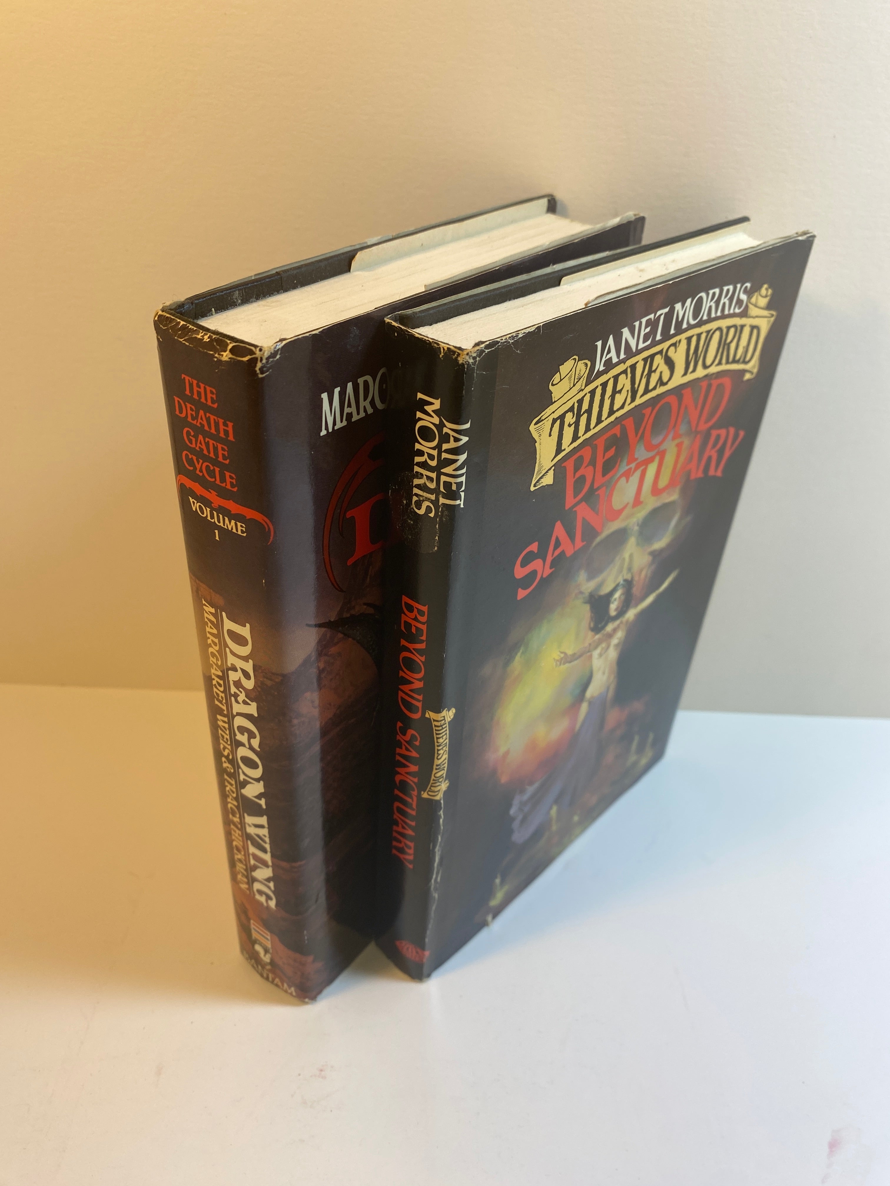 Lot of 2 HC Fantasy Beyond Sanctuary Dragon Wing Volume 1  HCDJ 1985-1990