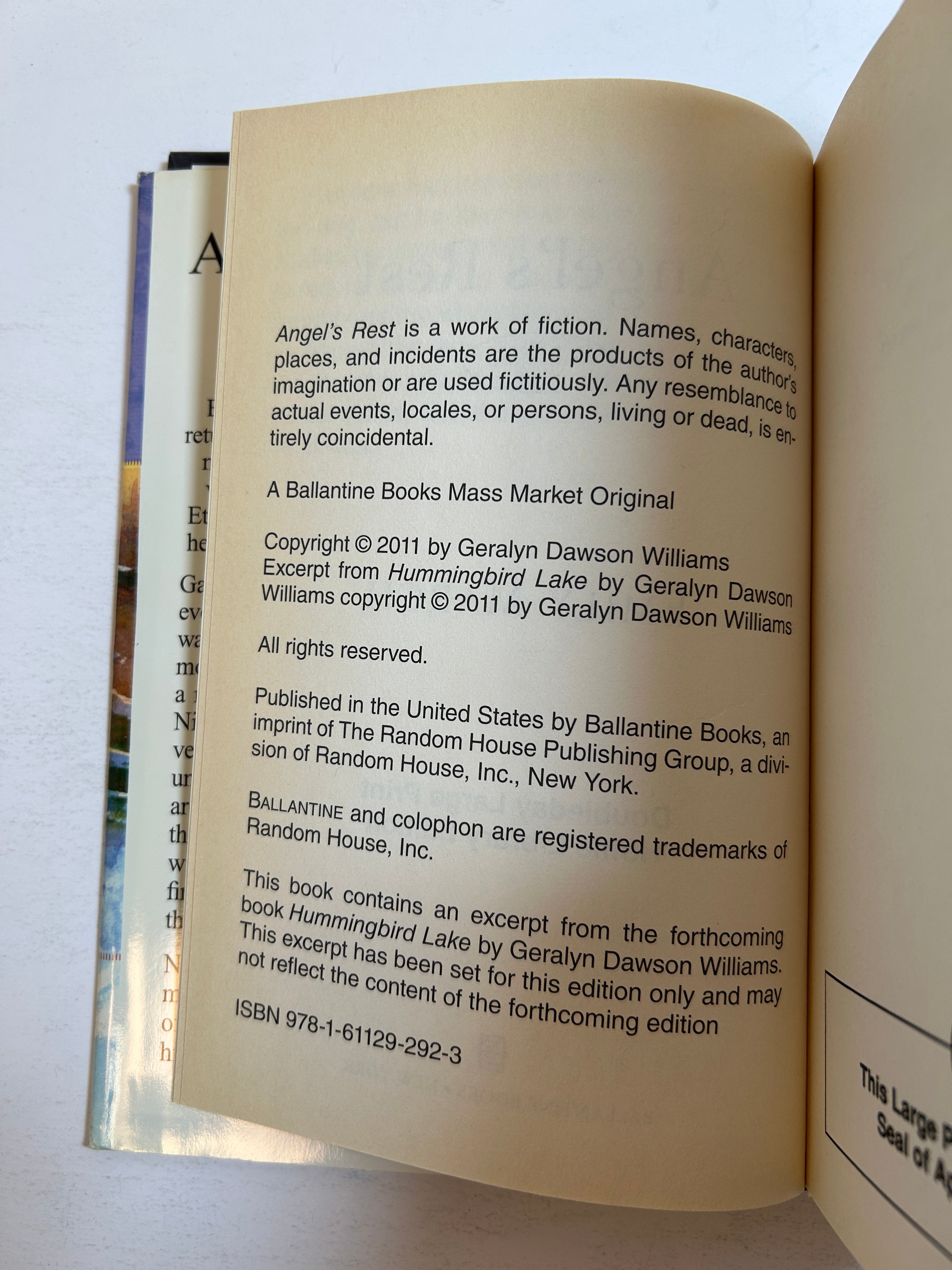 Lot of 2 LARGE PRINT Hardcover Romances Nora Roberts/Emily March HCDJ