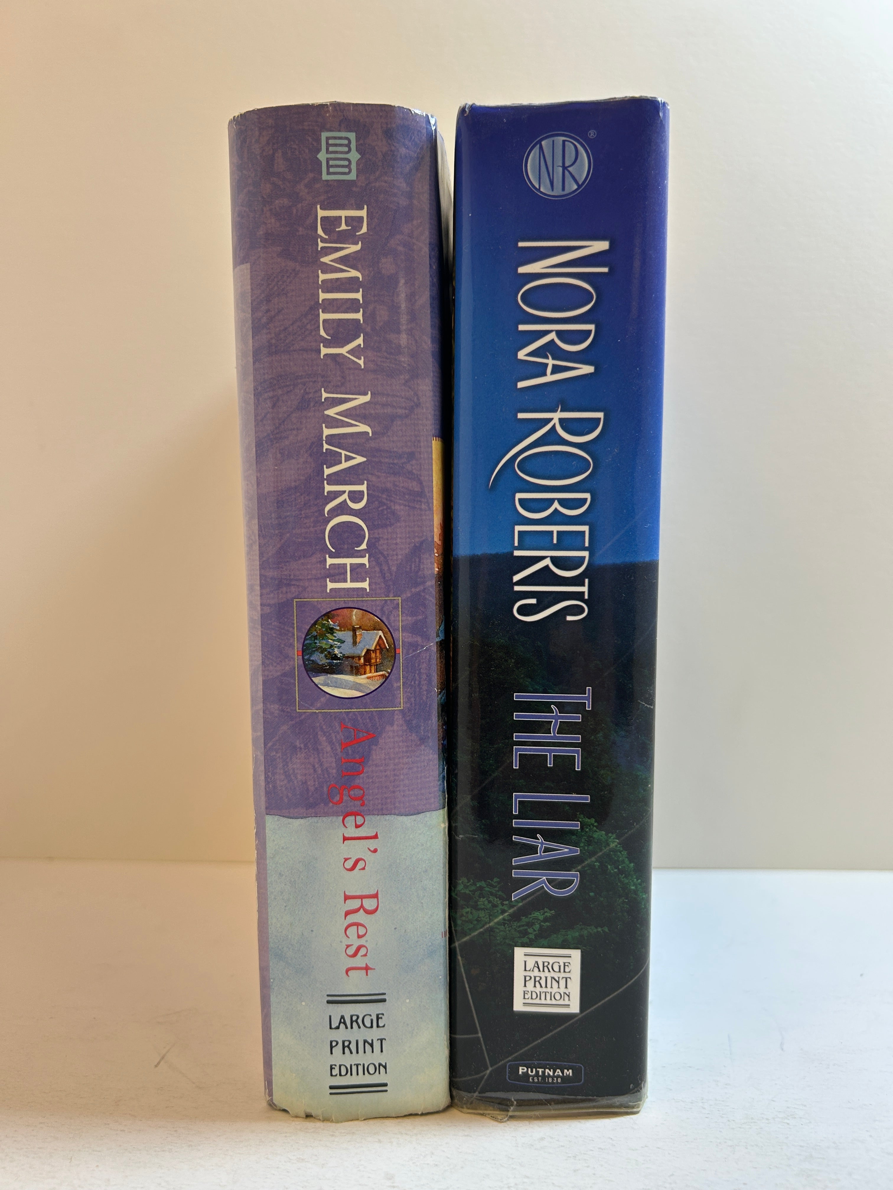 Lot of 2 LARGE PRINT Hardcover Romances Nora Roberts/Emily March HCDJ