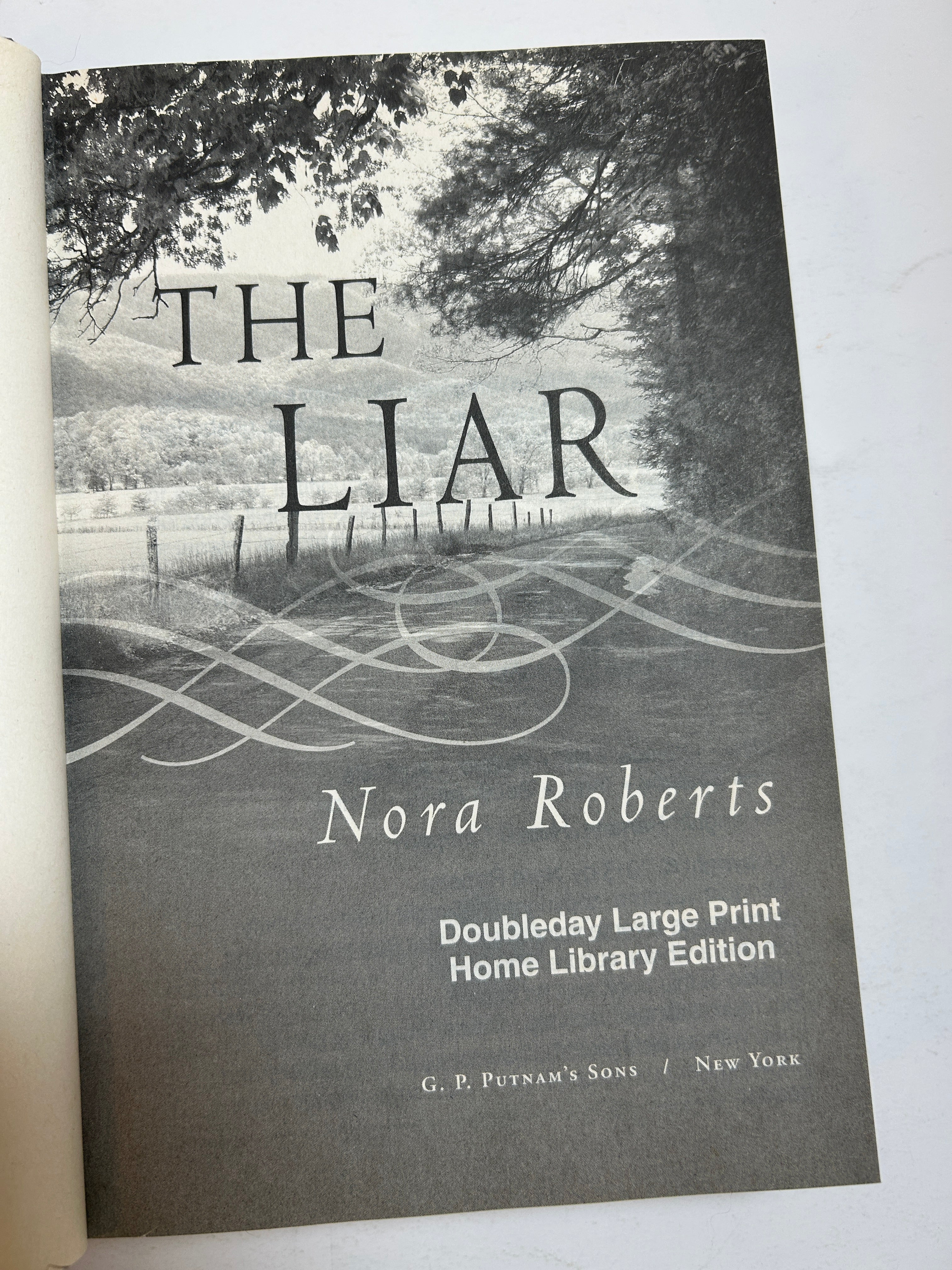 Lot of 2 LARGE PRINT Hardcover Romances Nora Roberts/Emily March HCDJ