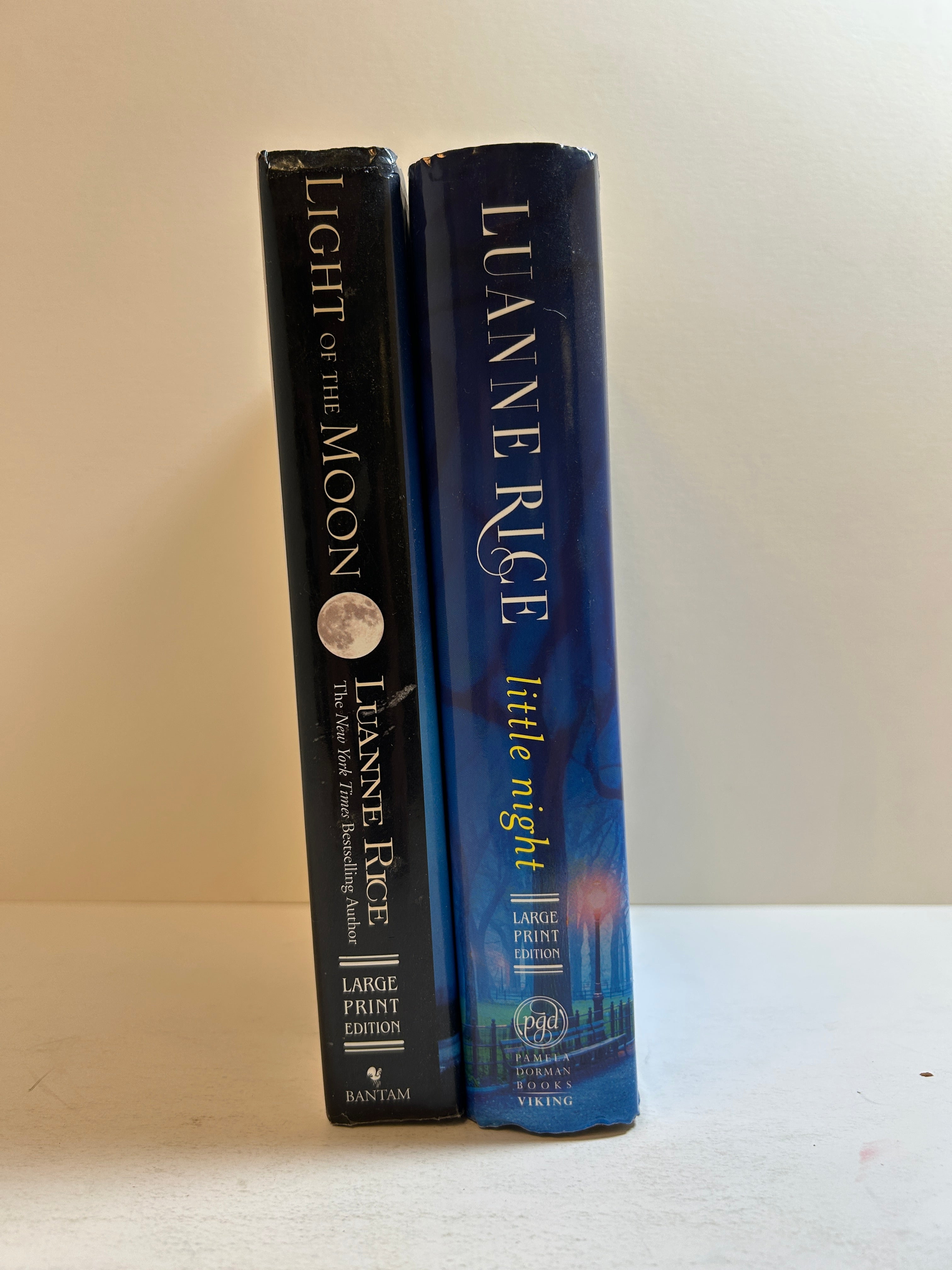 Lot of 2 LARGE PRINT Luanne Rice Hardcover Romance HCDJ
