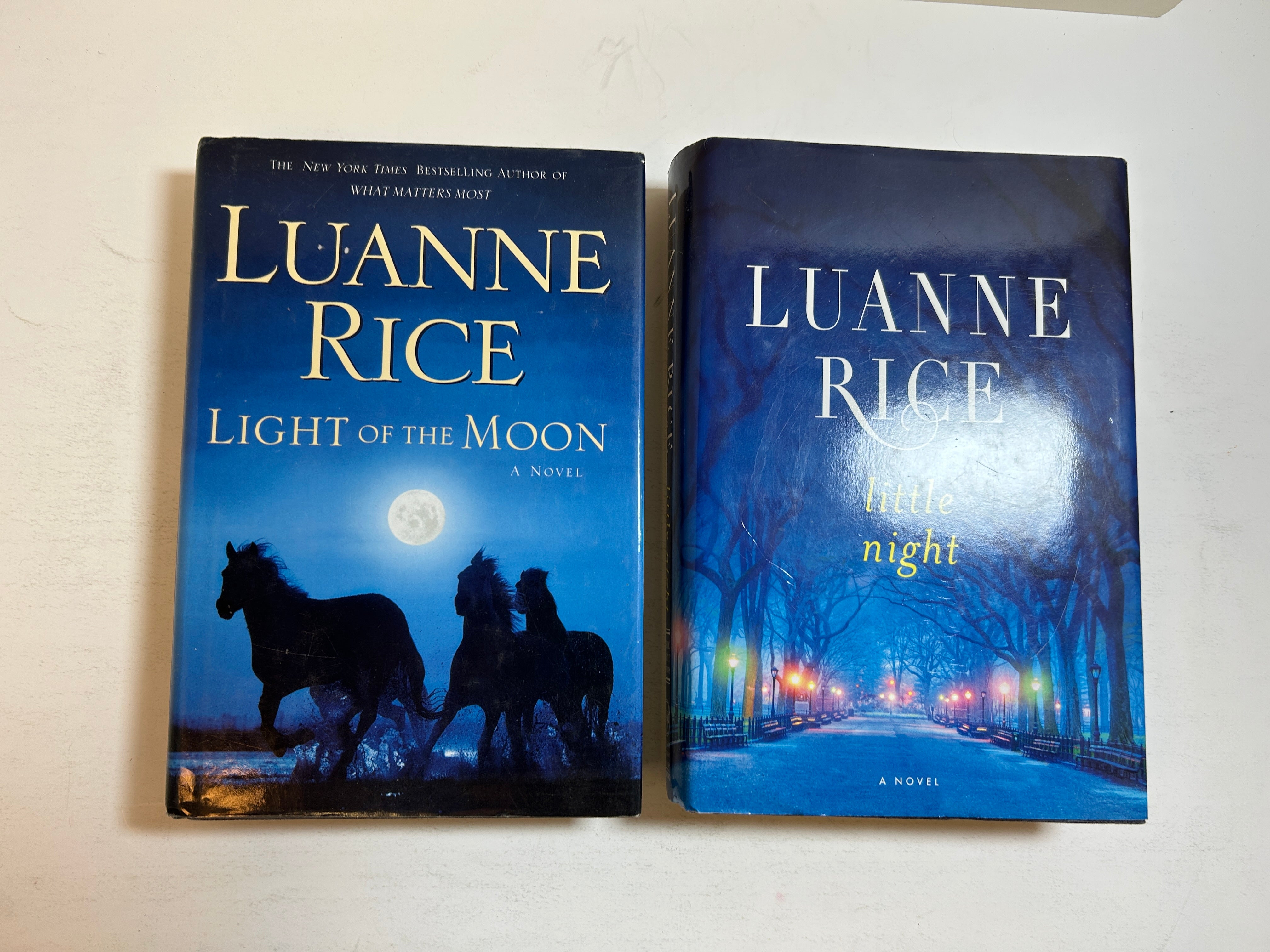 Lot of 2 LARGE PRINT Luanne Rice Hardcover Romance HCDJ