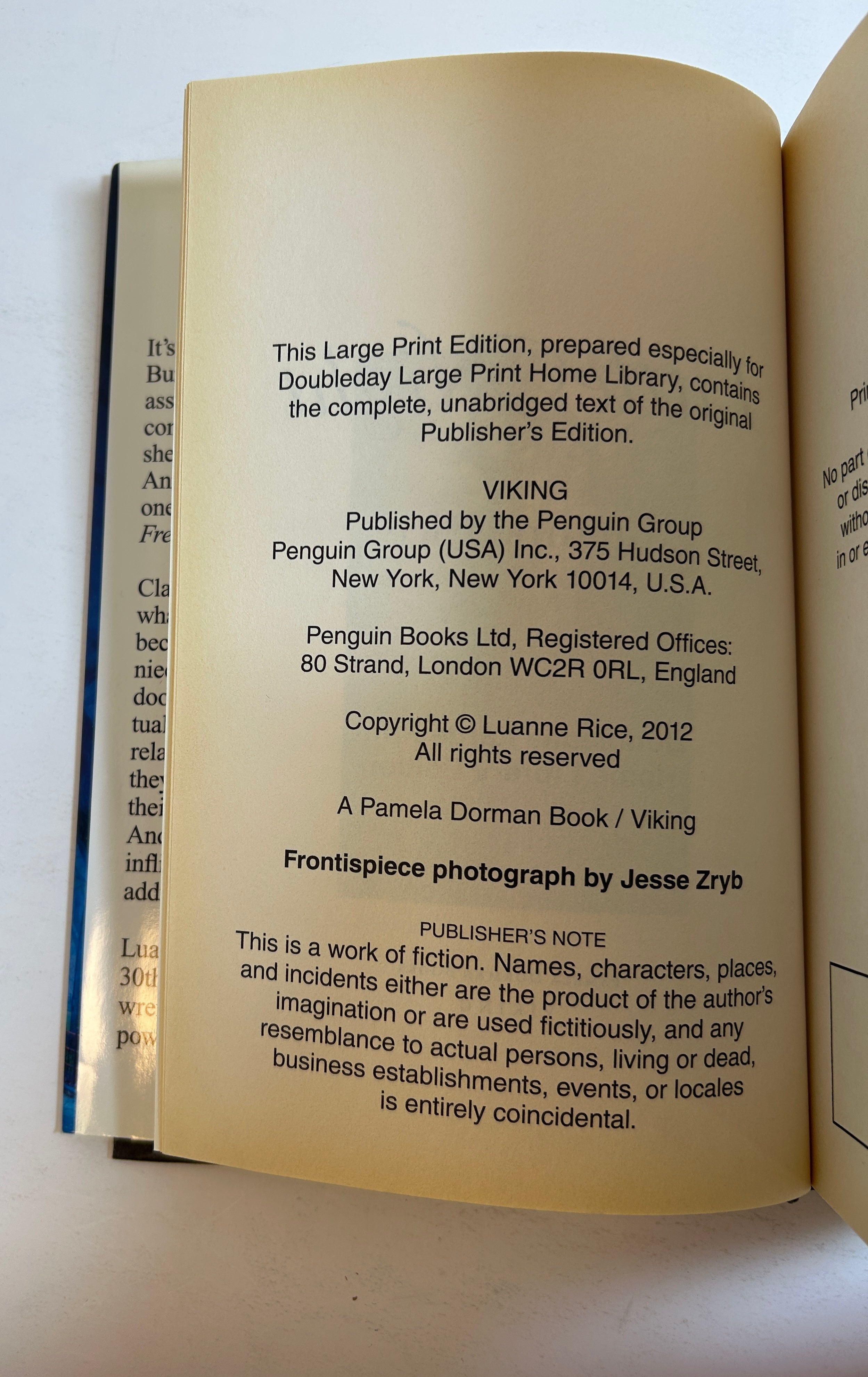Lot of 2 LARGE PRINT Luanne Rice Hardcover Romance HCDJ