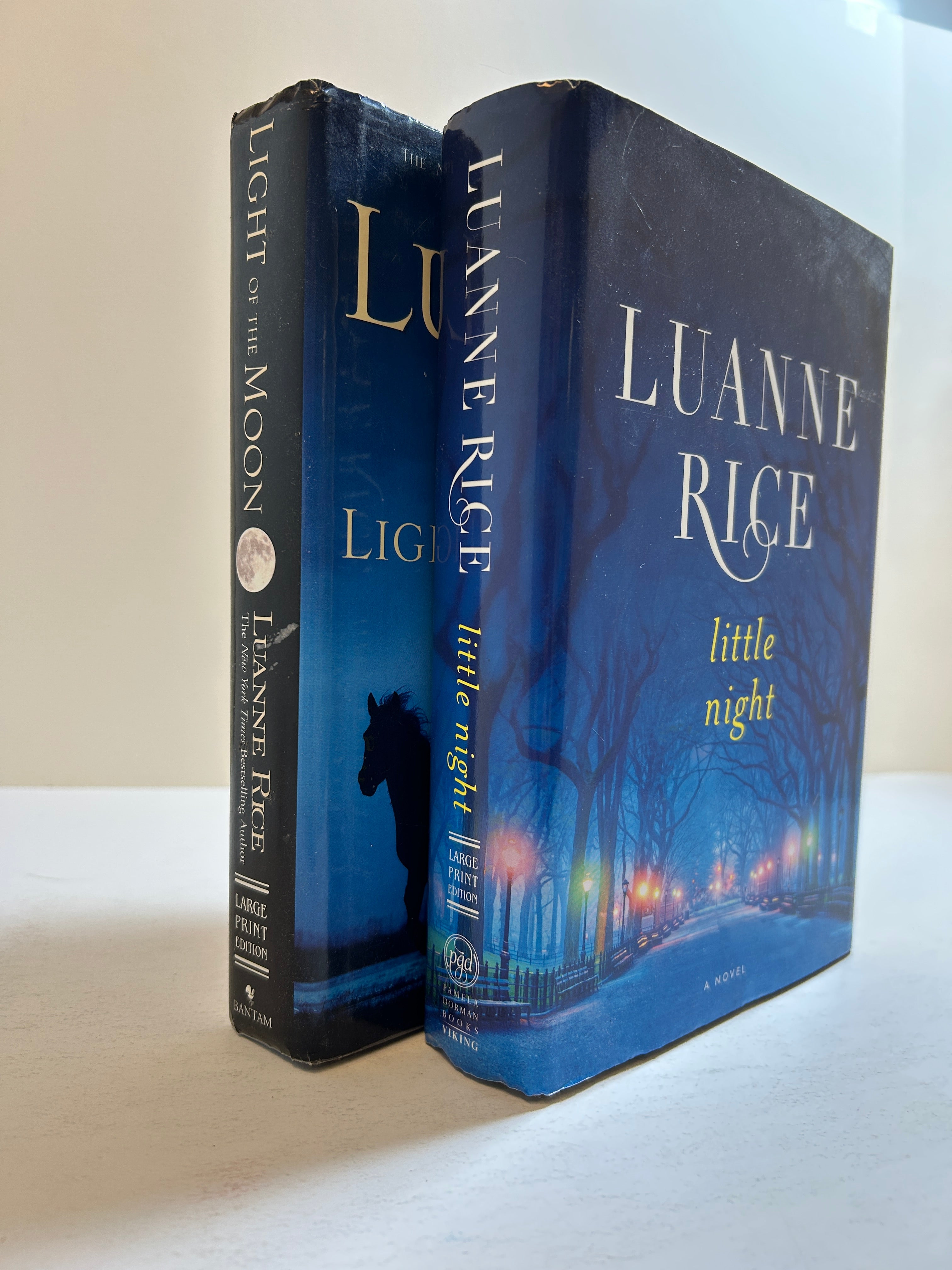 Lot of 2 LARGE PRINT Luanne Rice Hardcover Romance HCDJ