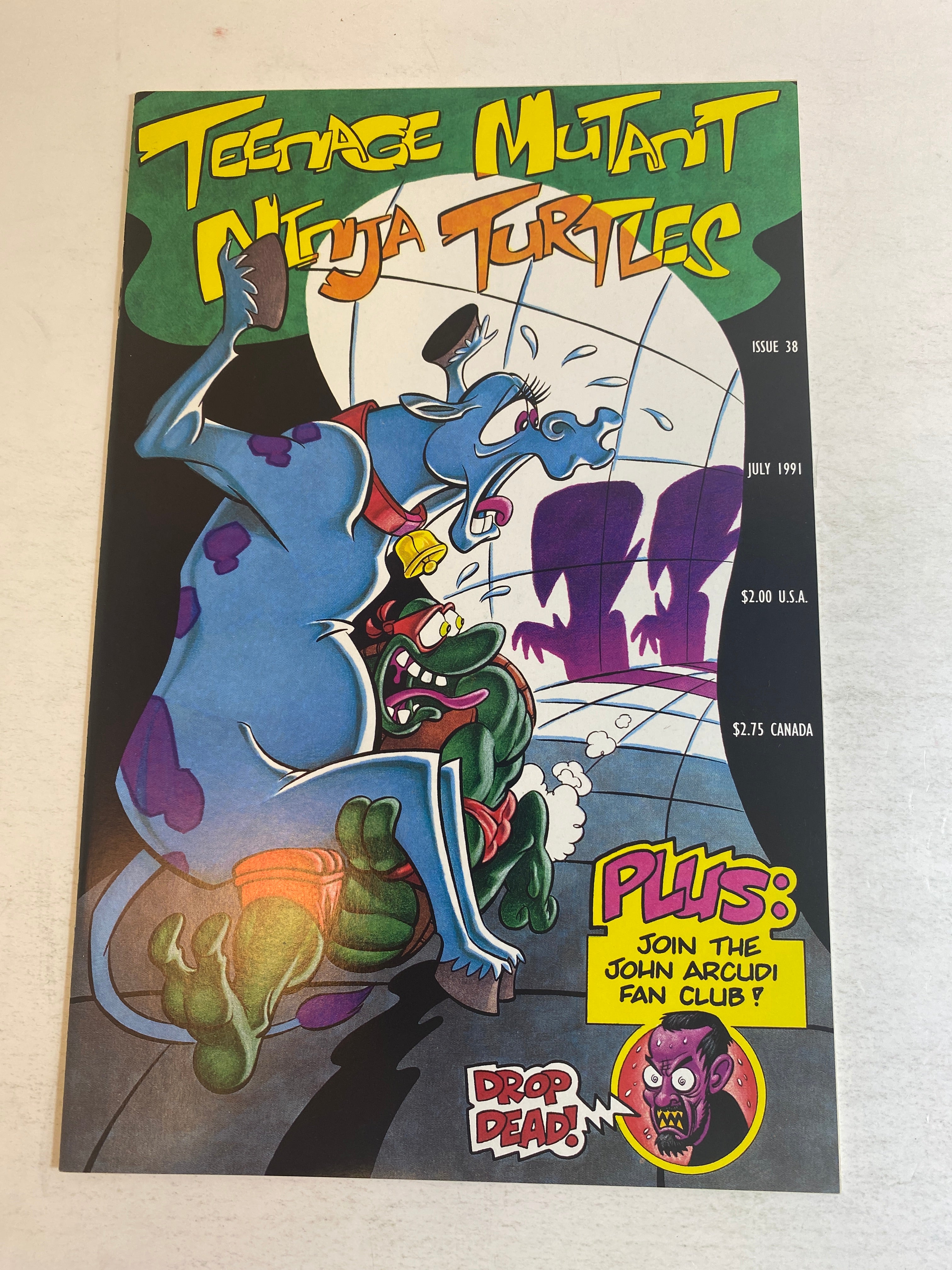 Lot of 2 Teenage Mutant Ninja Turtles Mirage Comics 1991
