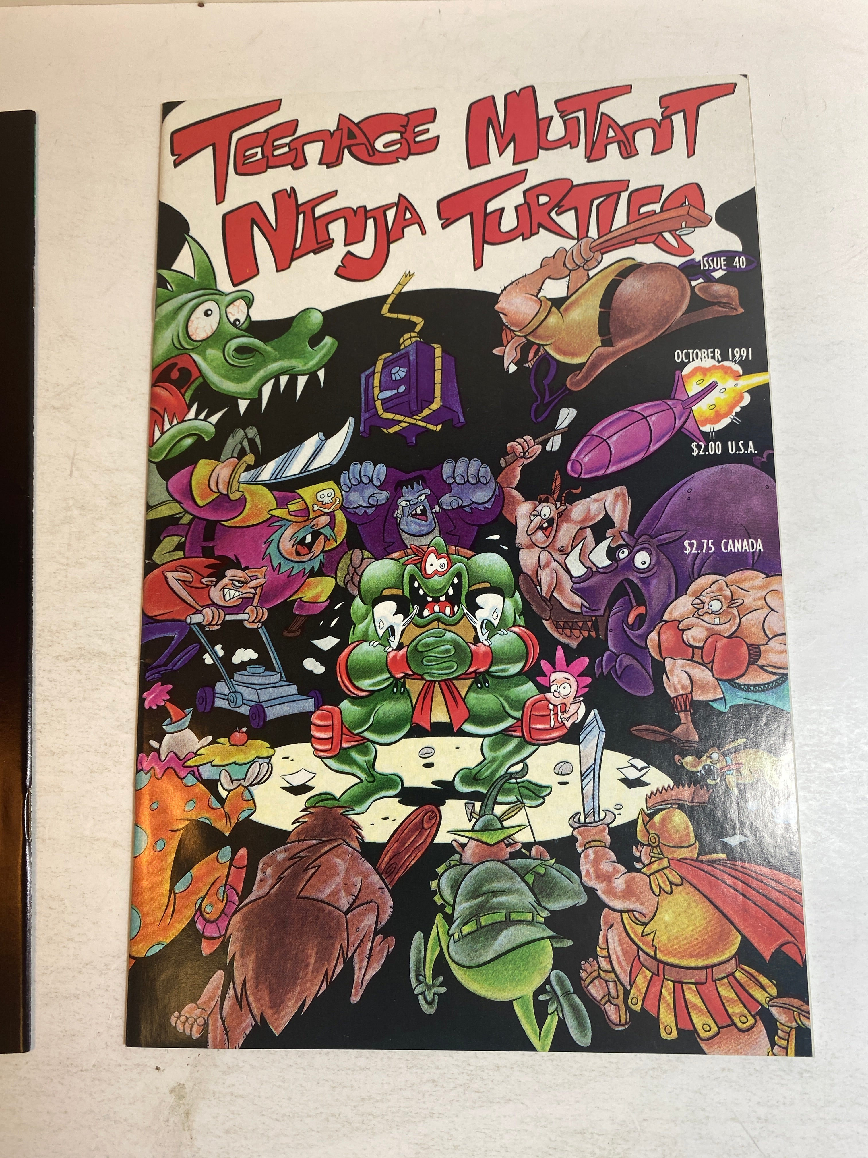 Lot of 2 Teenage Mutant Ninja Turtles Mirage Comics 1991