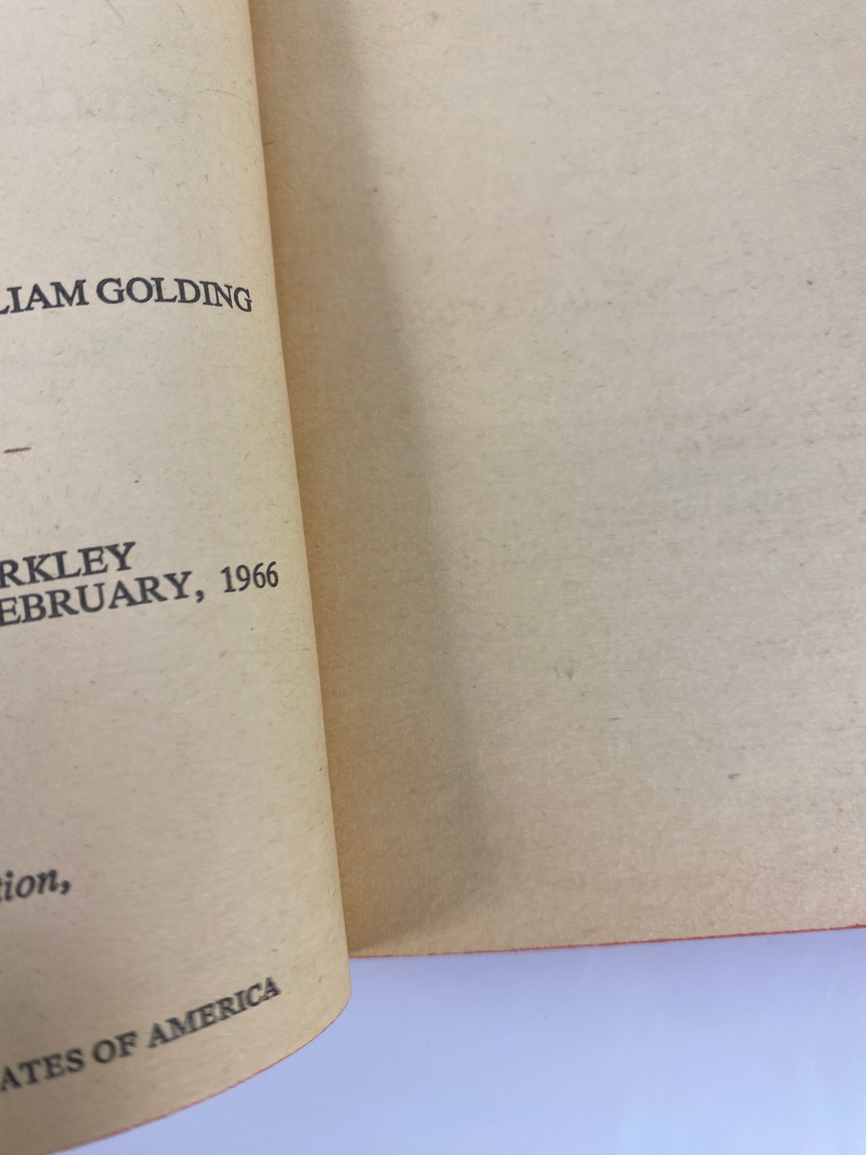 Lot of 2 William Golding Lord of the Flies Pincher Martin paperbacks 1959-1966