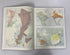 Lot of 4: Historical Atlas of the World/Endangered Earth/2 World Maps 1965-88