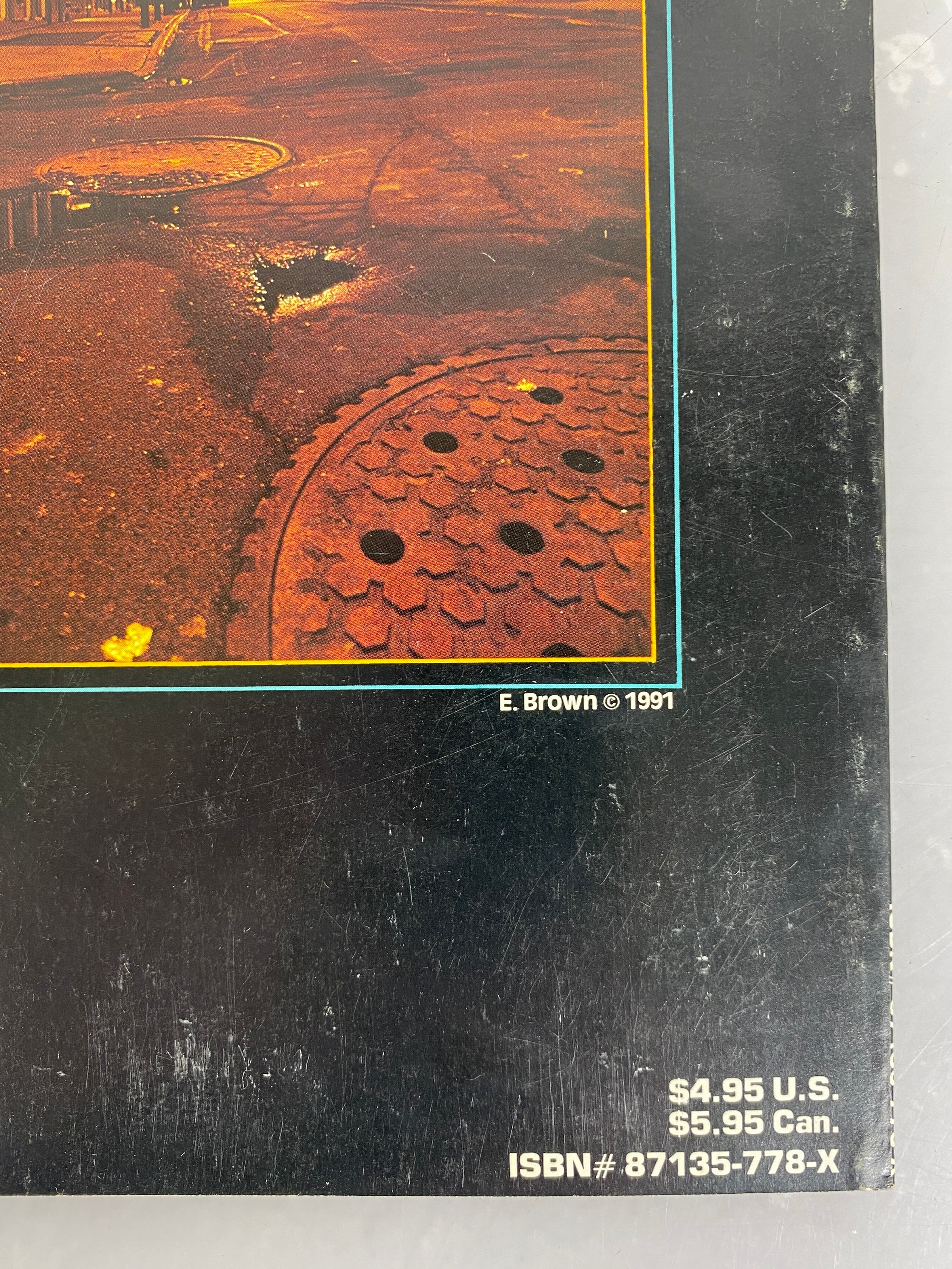 Lot of 4 Punisher Graphic Novels (Marvel) SC