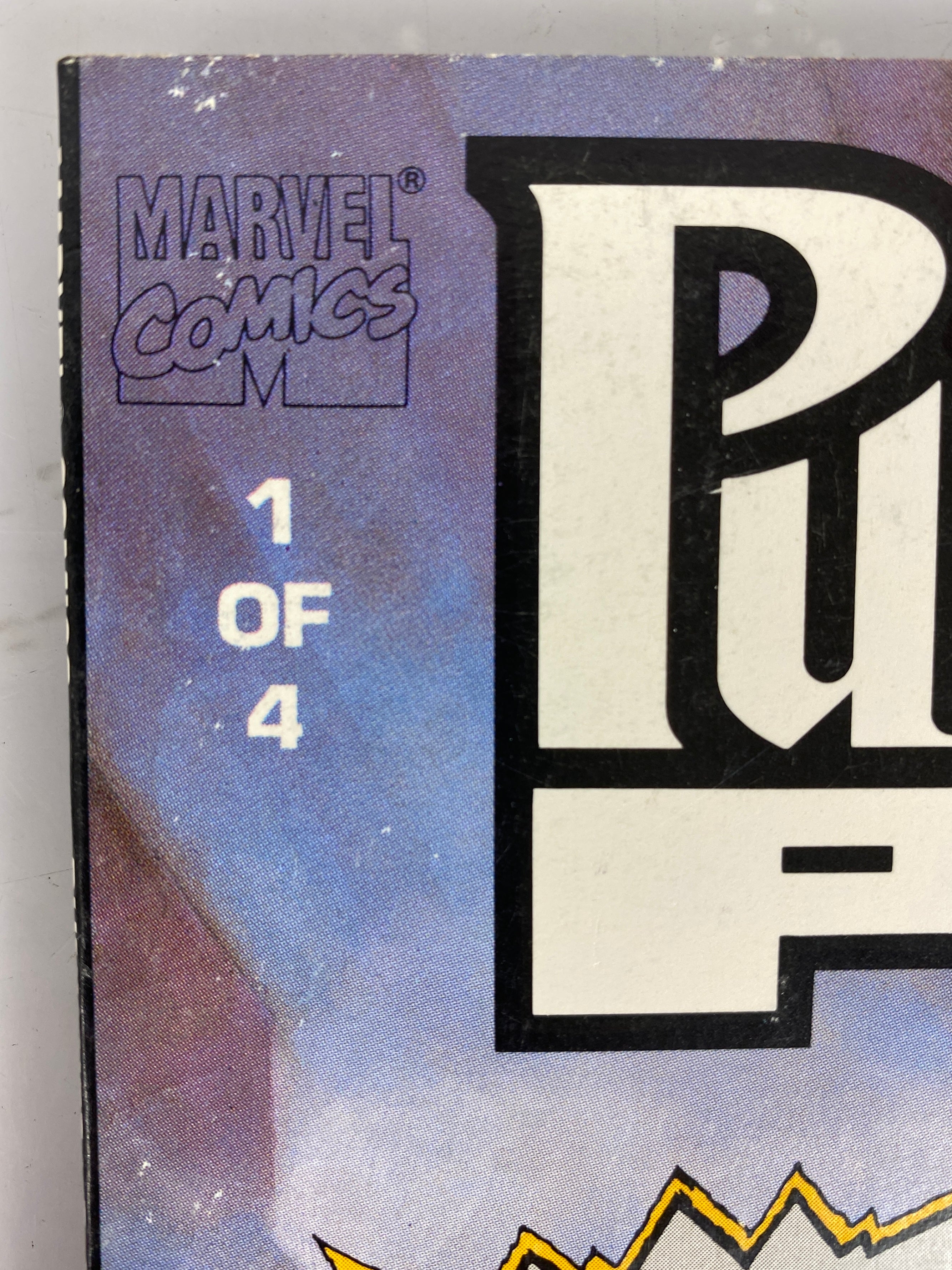 Lot of 4 Punisher Graphic Novels (Marvel) SC