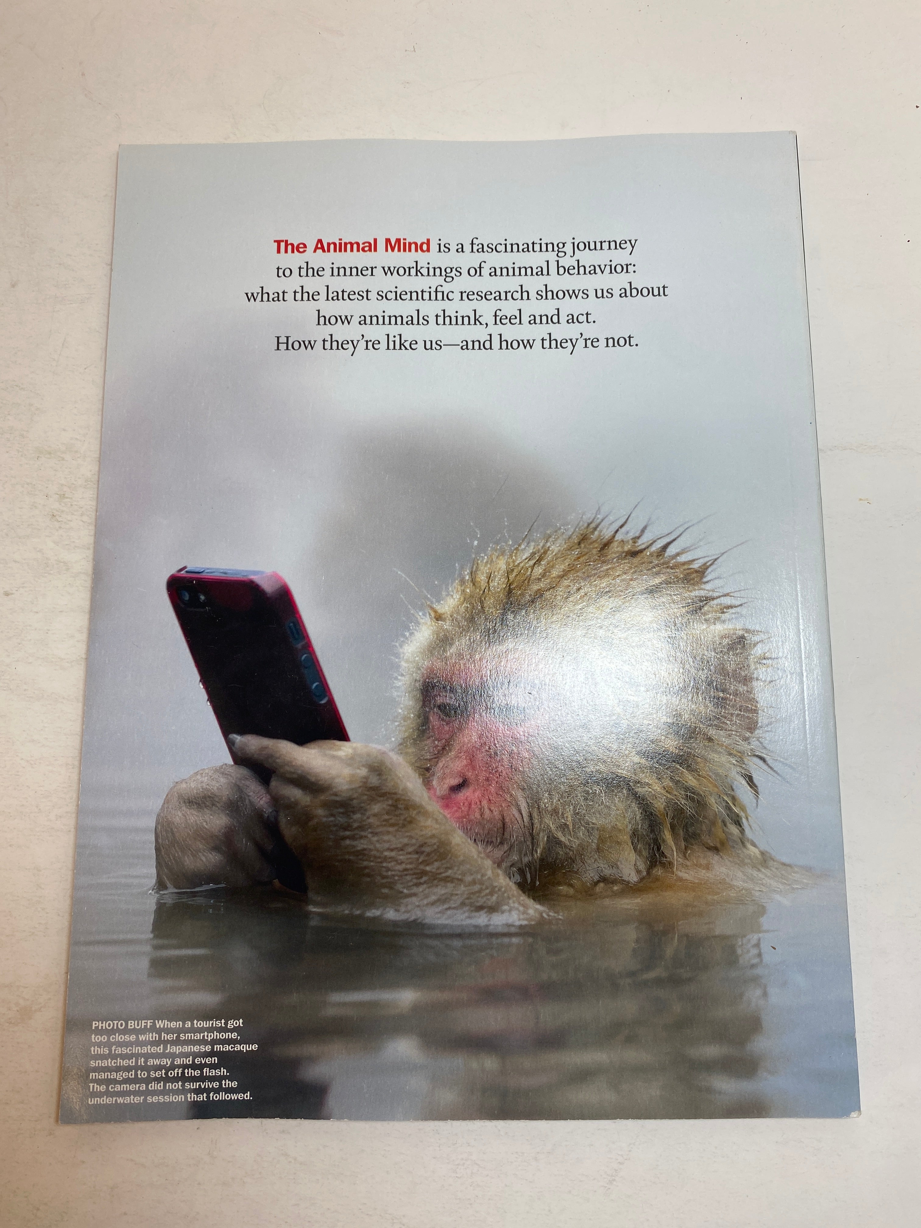 Lot of 4 Time Life Special Edition Magazines Cats and Dogs 2019-2020