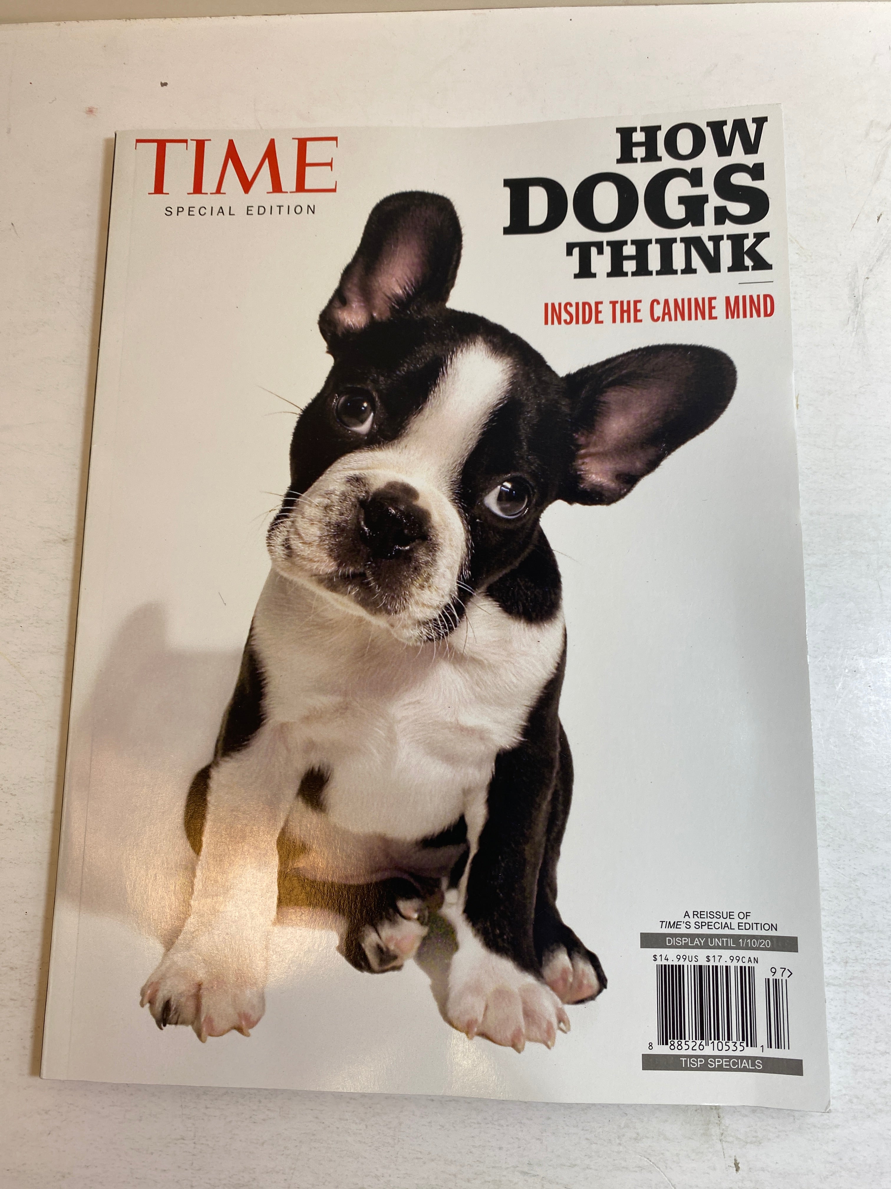 Lot of 4 Time Life Special Edition Magazines Cats and Dogs 2019-2020
