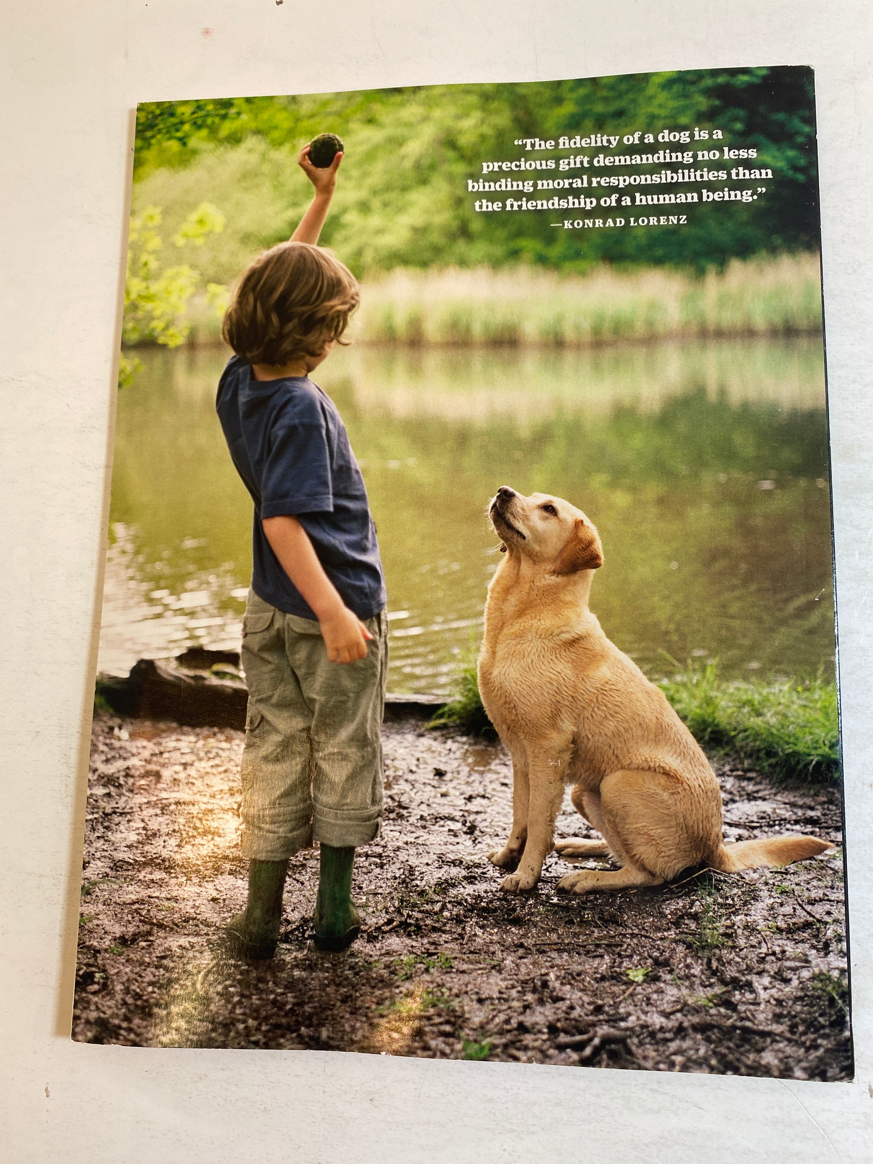 Lot of 4 Time Life Special Edition Magazines Cats and Dogs 2019-2020