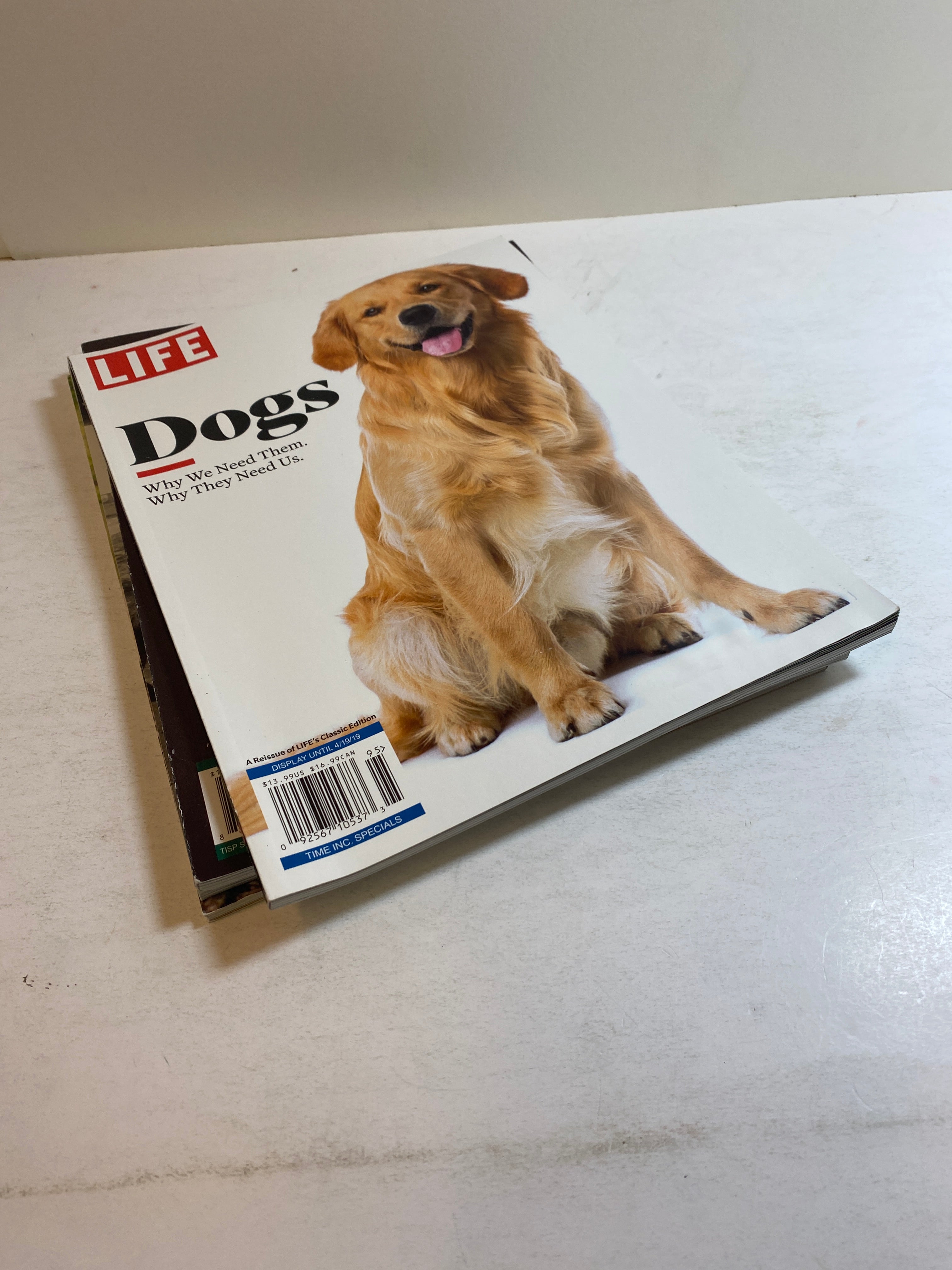 Lot of 4 Time Life Special Edition Magazines Cats and Dogs 2019-2020