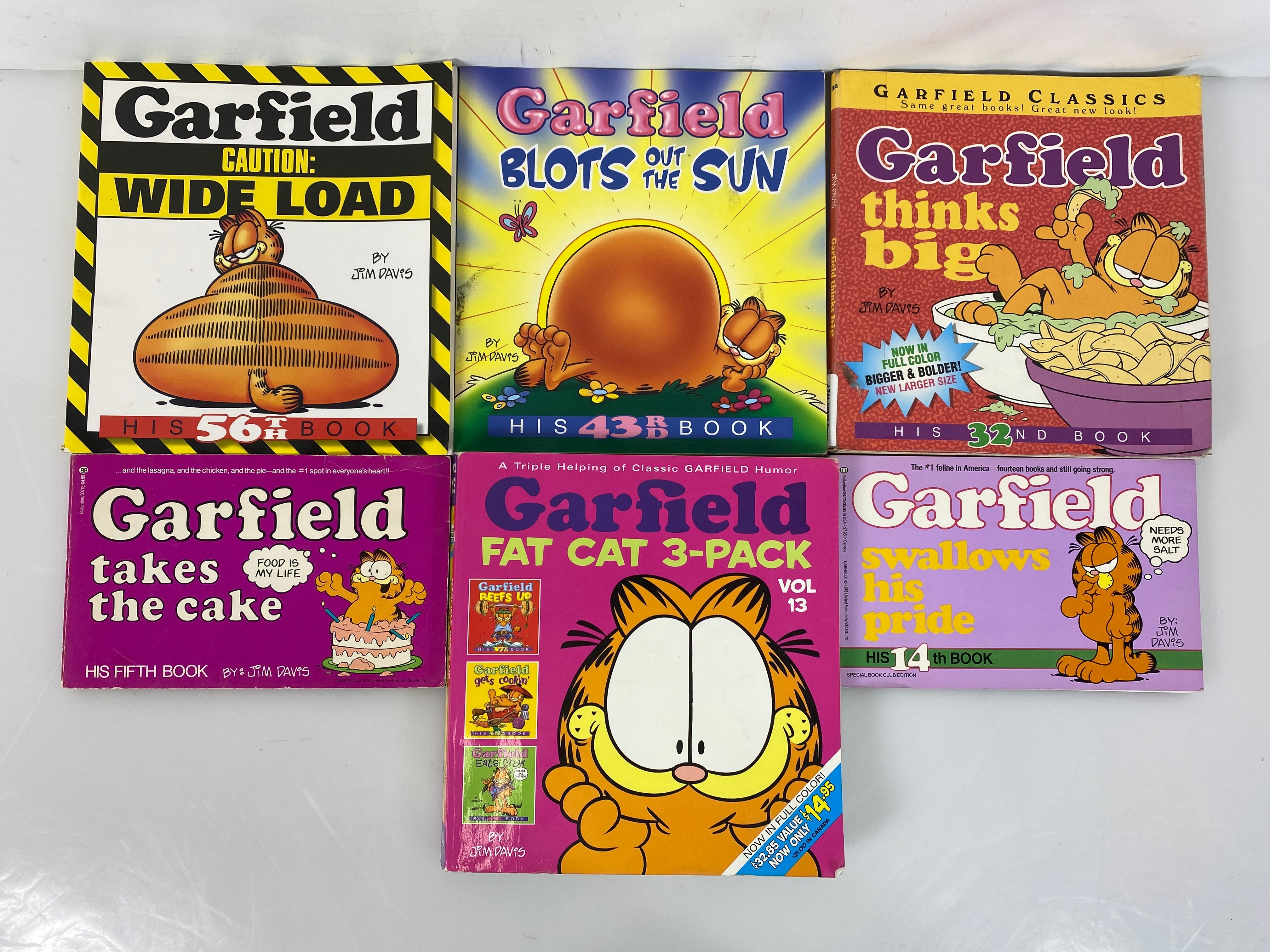 Lot of 6 Garfield Books Jim Davis (1982-2013)