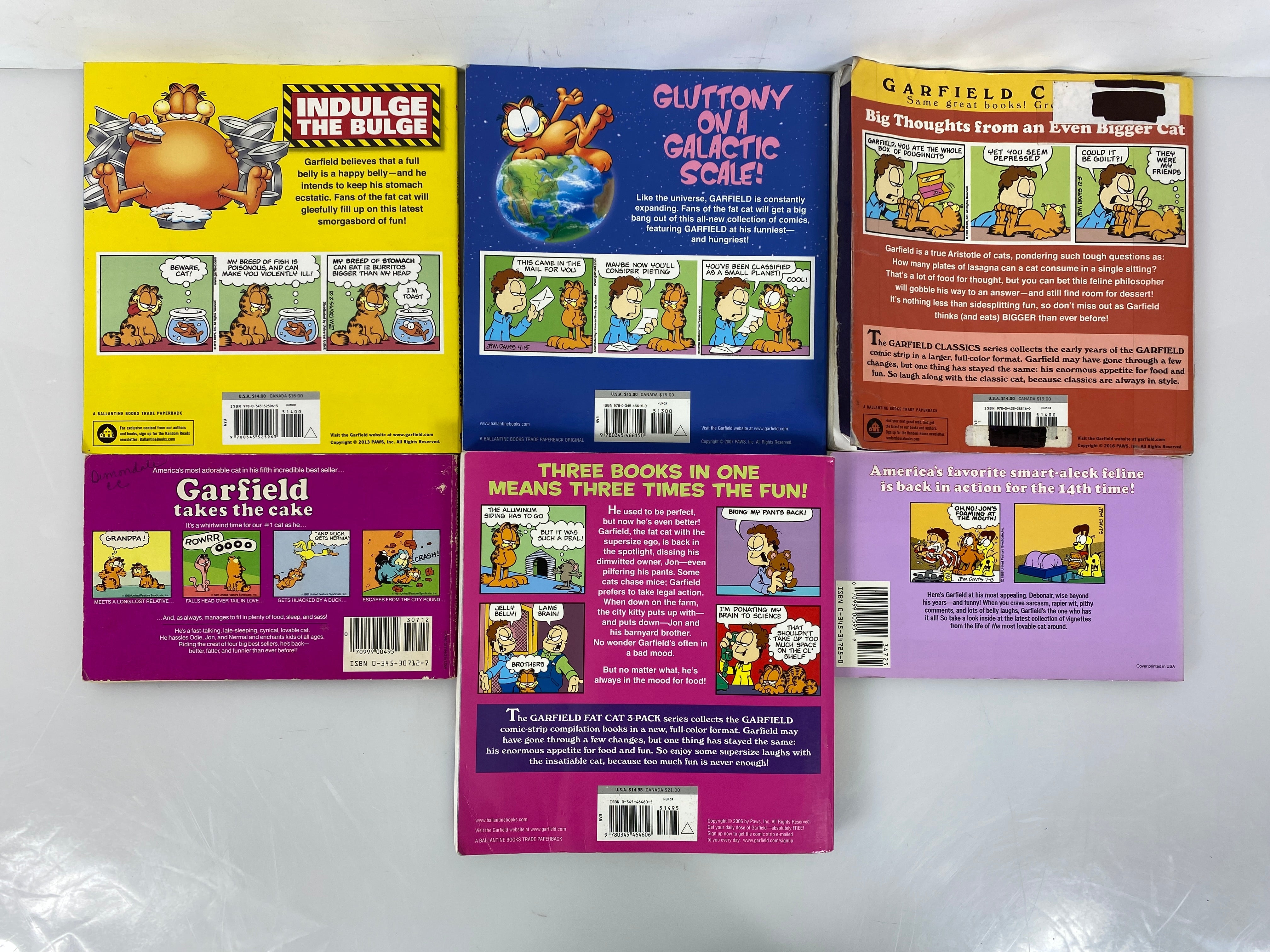Lot of 6 Garfield Books Jim Davis (1982-2013)