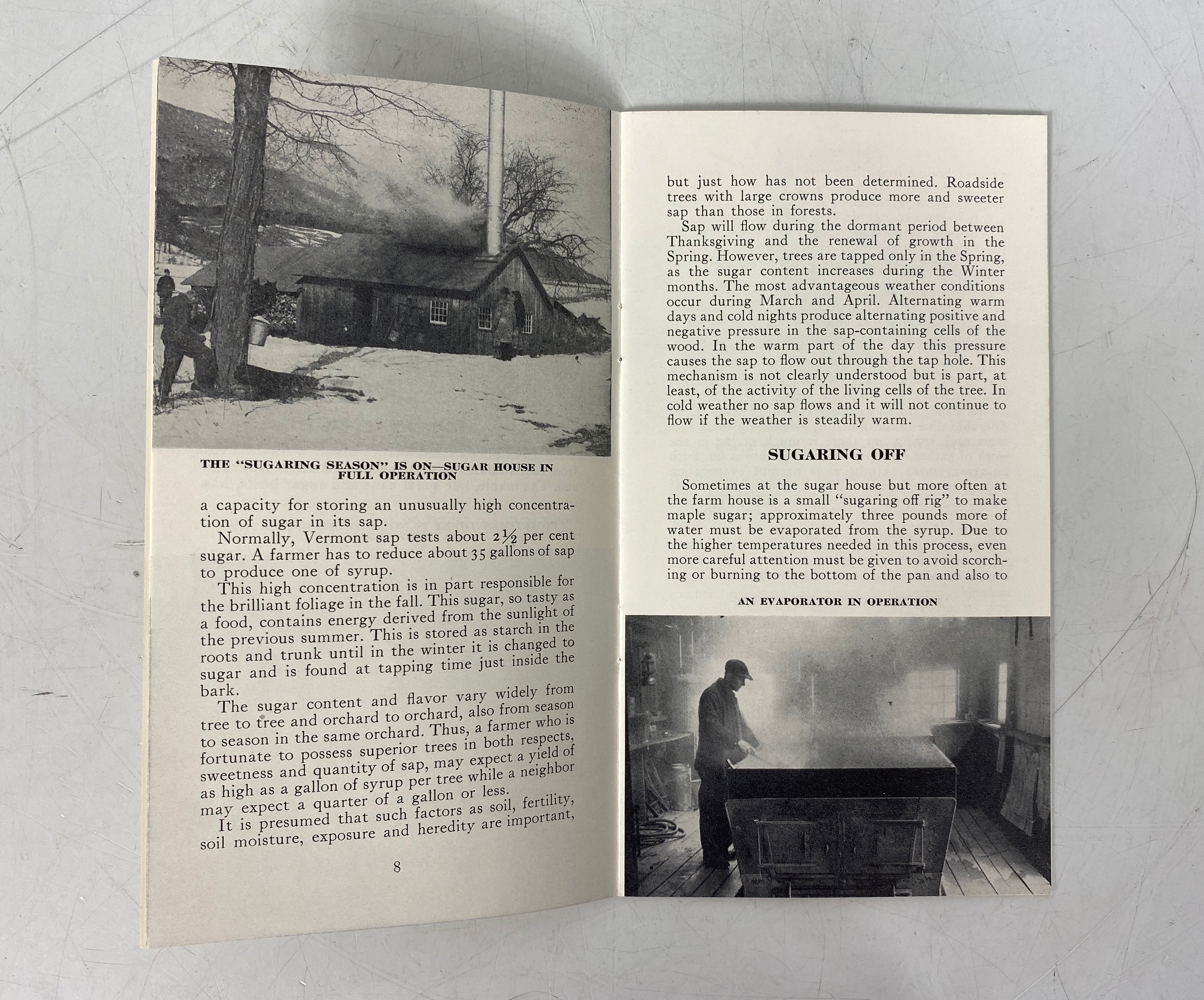 Lot of Vintage Recipe Booklets: Honey/Maple Syrup/Karo Syrup SC