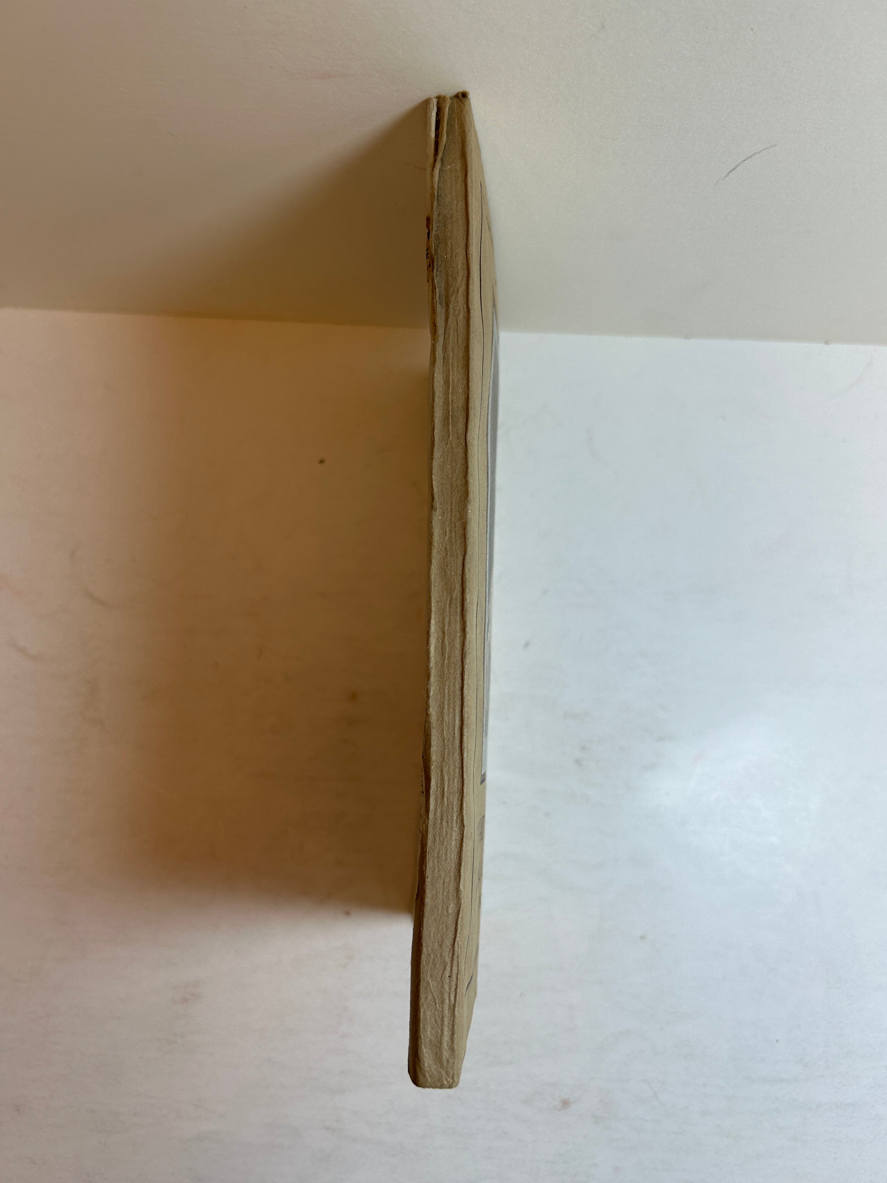 National Style Book Cloak and Suit Co 1911