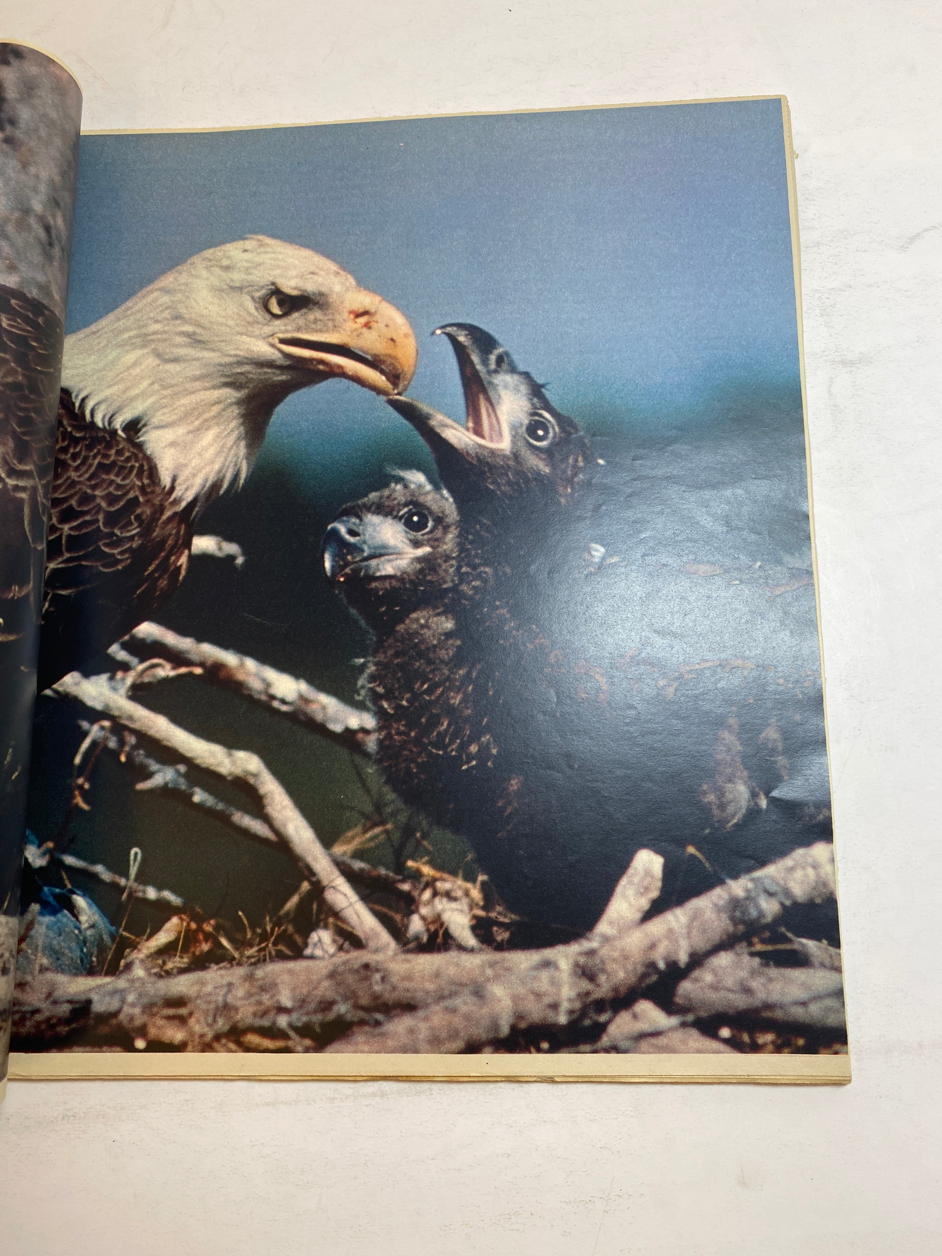 New York Times Magazine America at 200 July 4, 1976