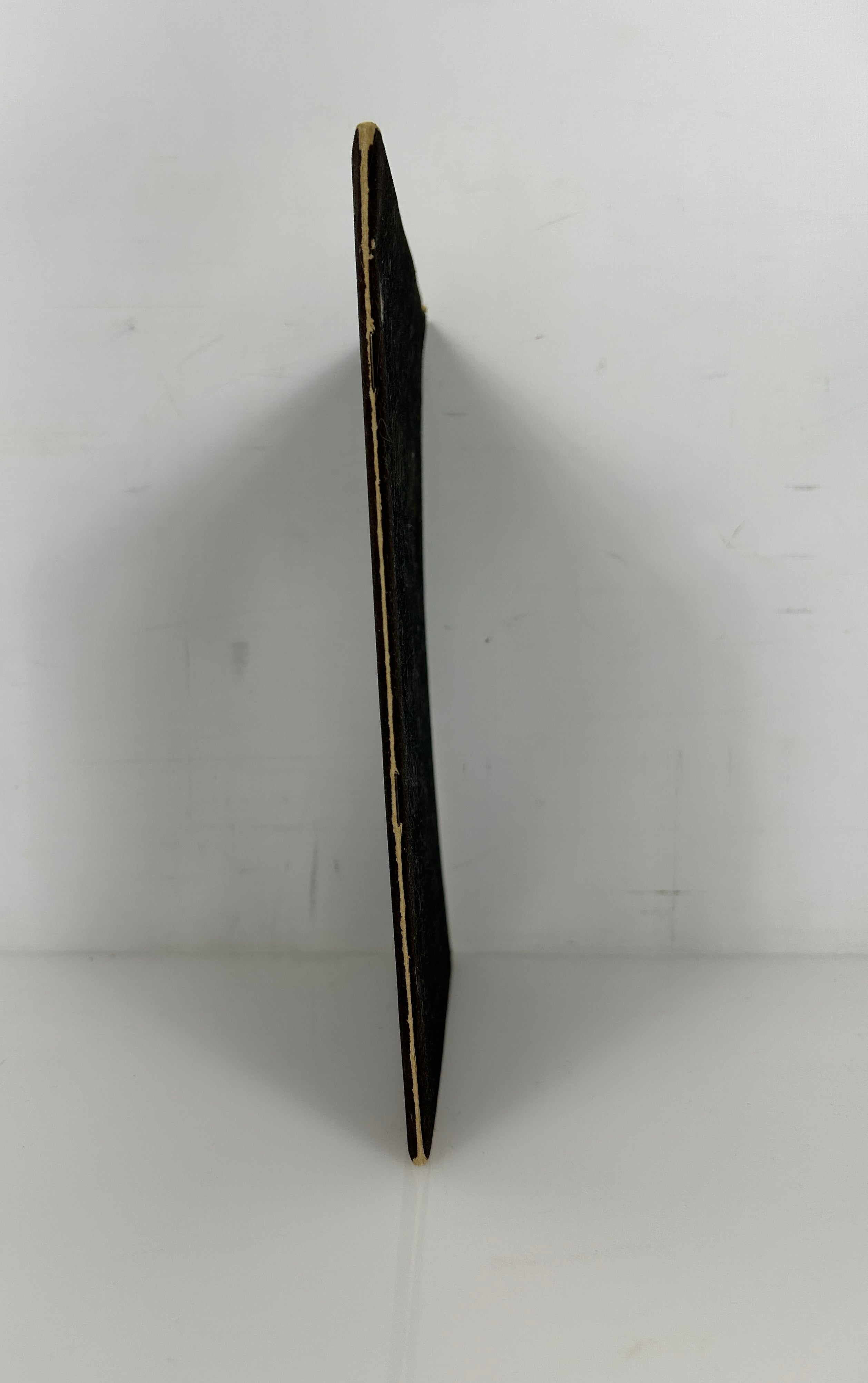 Nine Lives The Cat in History and Art Allen Dodge Velvet Wraps 1949