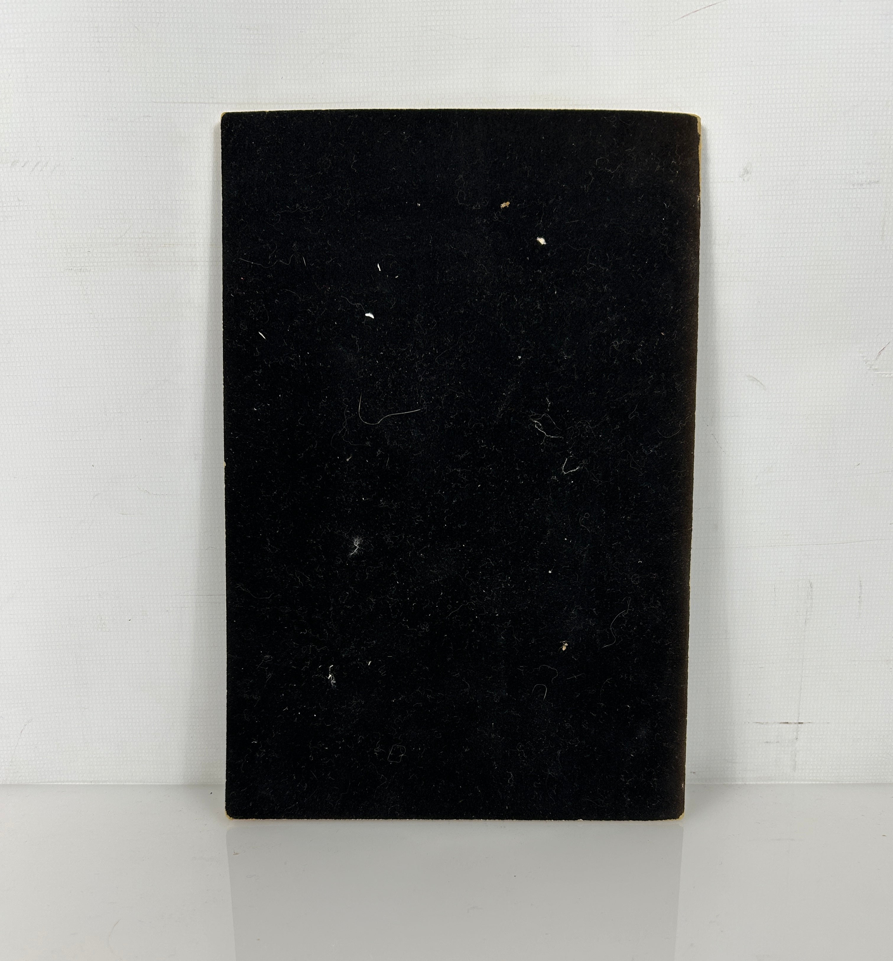 Nine Lives The Cat in History and Art Allen Dodge Velvet Wraps 1949