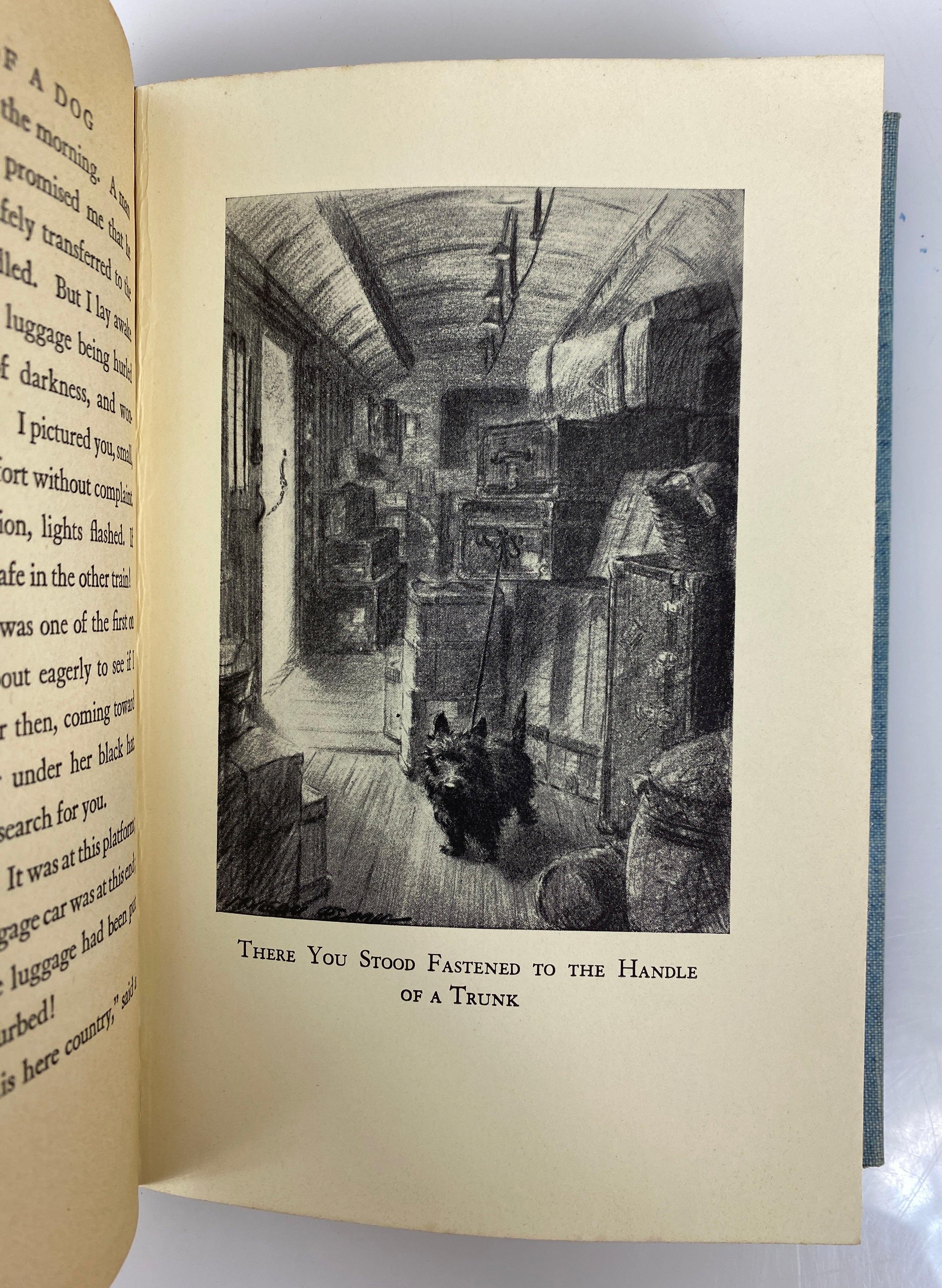 Portrait of a Dog by Mazo De La Roche 1930 Vintage HC