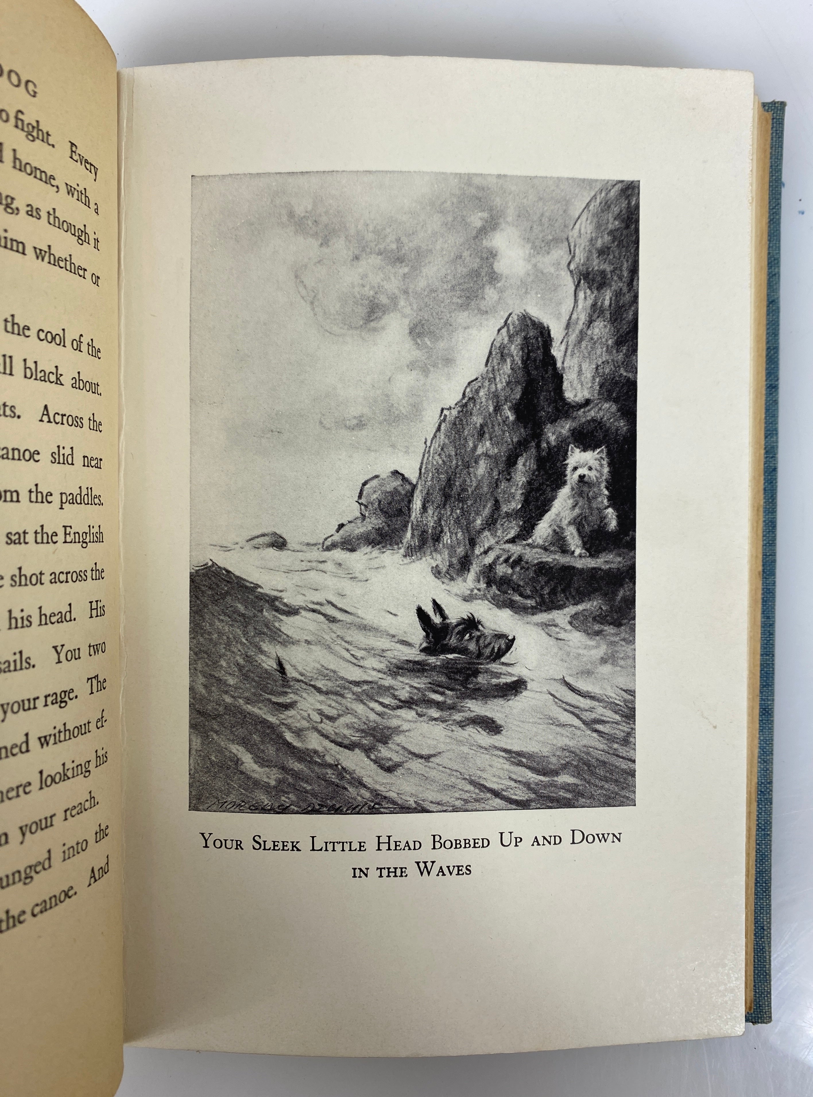 Portrait of a Dog by Mazo De La Roche 1930 Vintage HC