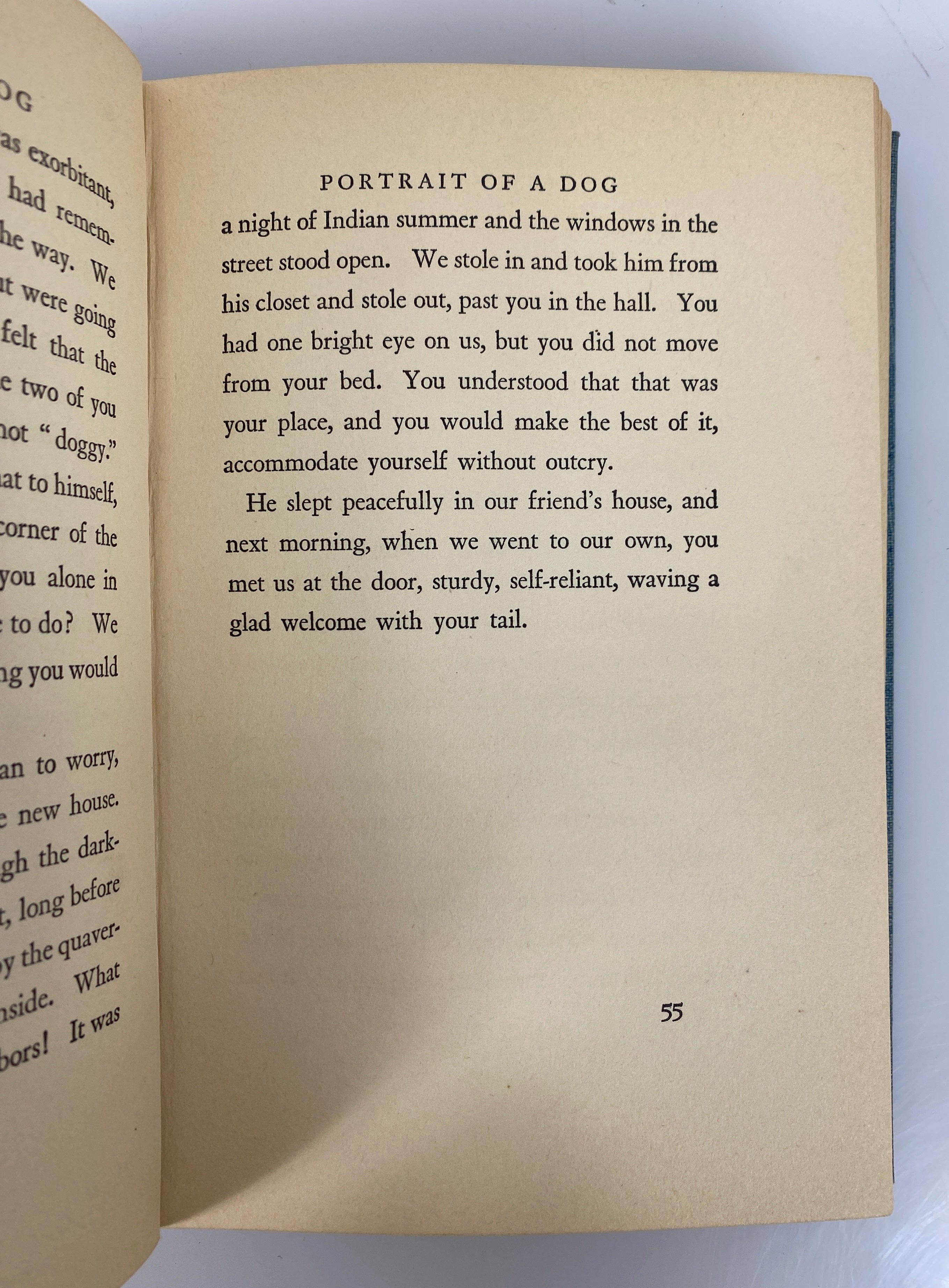 Portrait of a Dog by Mazo De La Roche 1930 Vintage HC