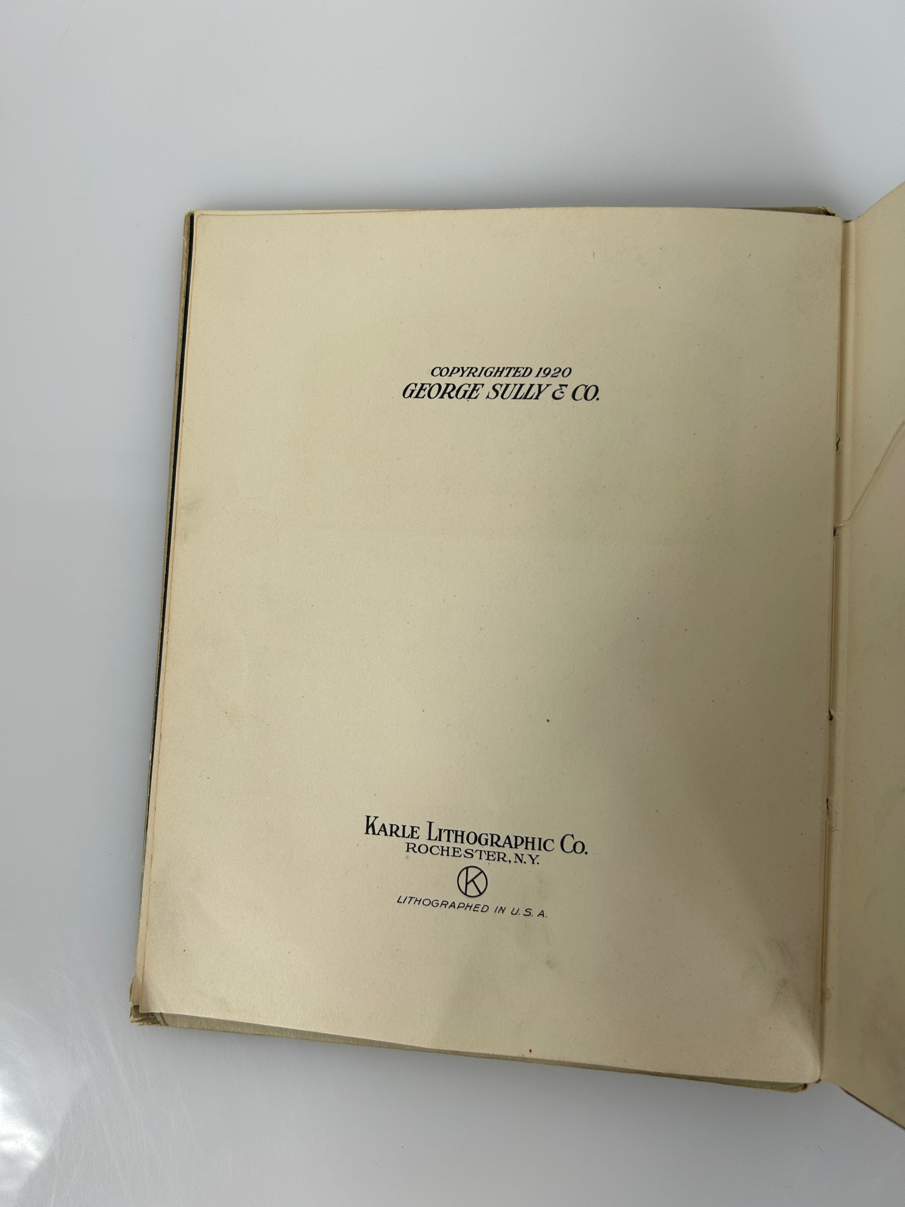 Puss In Boots Illustrated Julia Daniels 1920 1st Ed