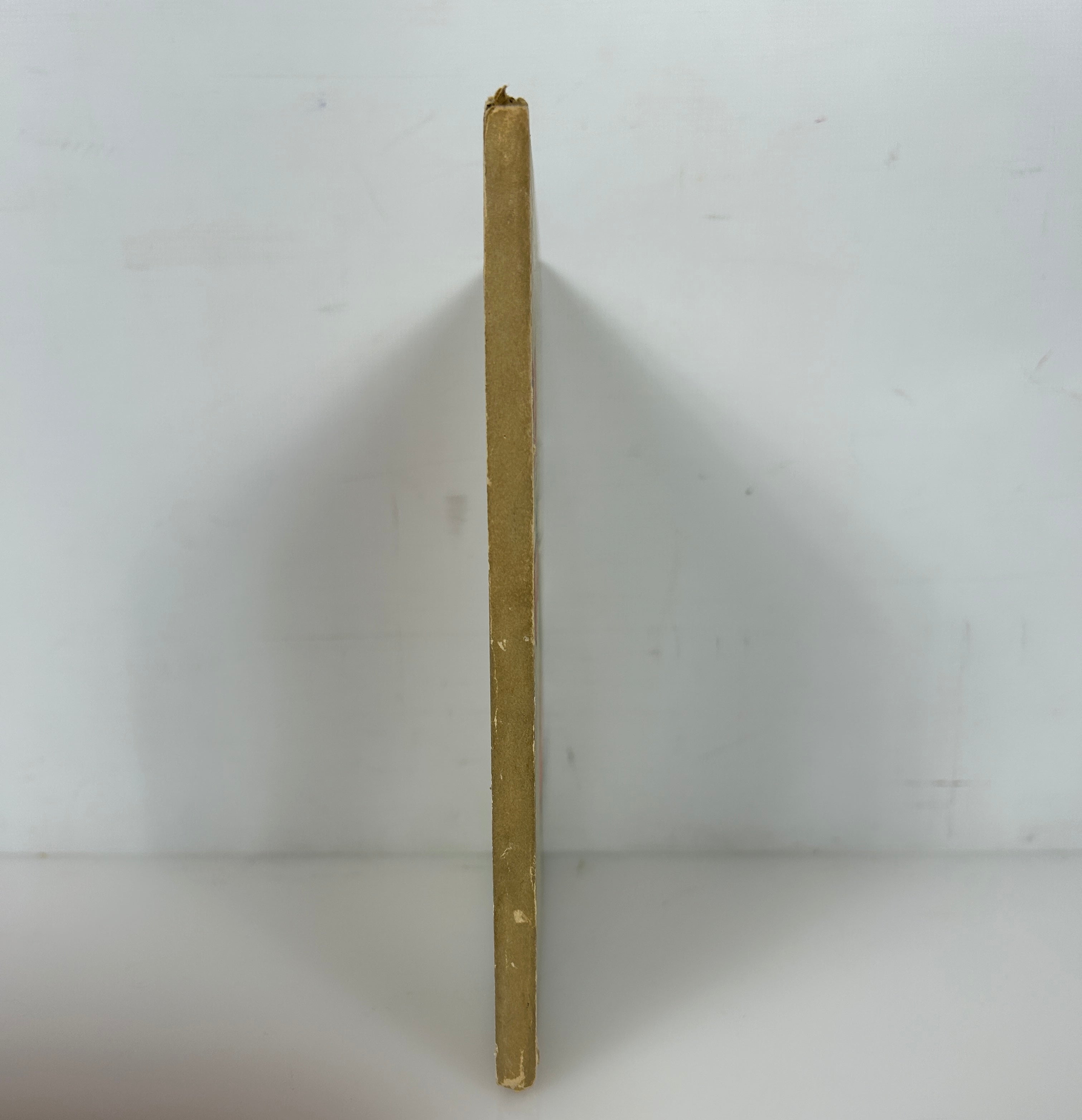 Puss In Boots Illustrated Julia Daniels 1920 1st Ed