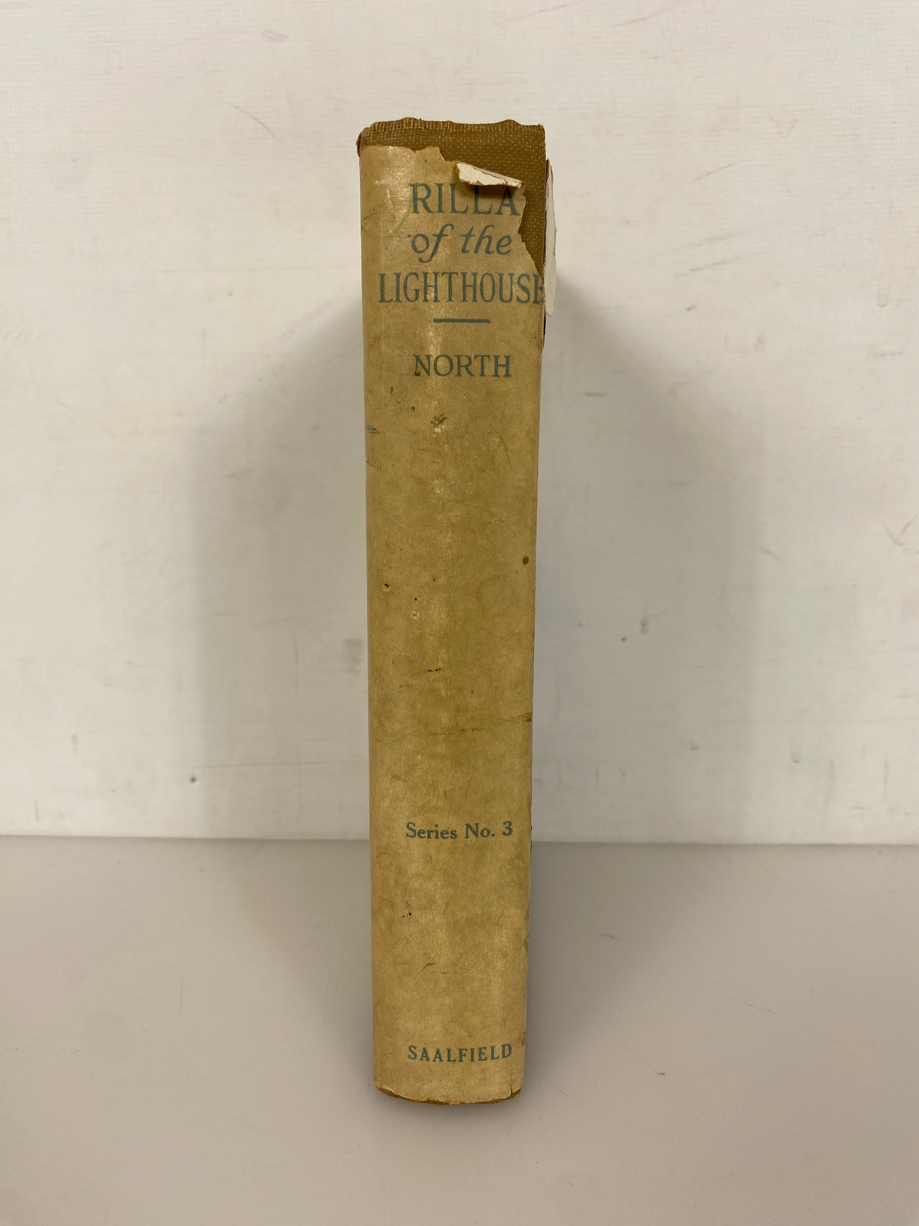 Rilla of the Lighthouse by Grace May North 1926 Antique HC DJ