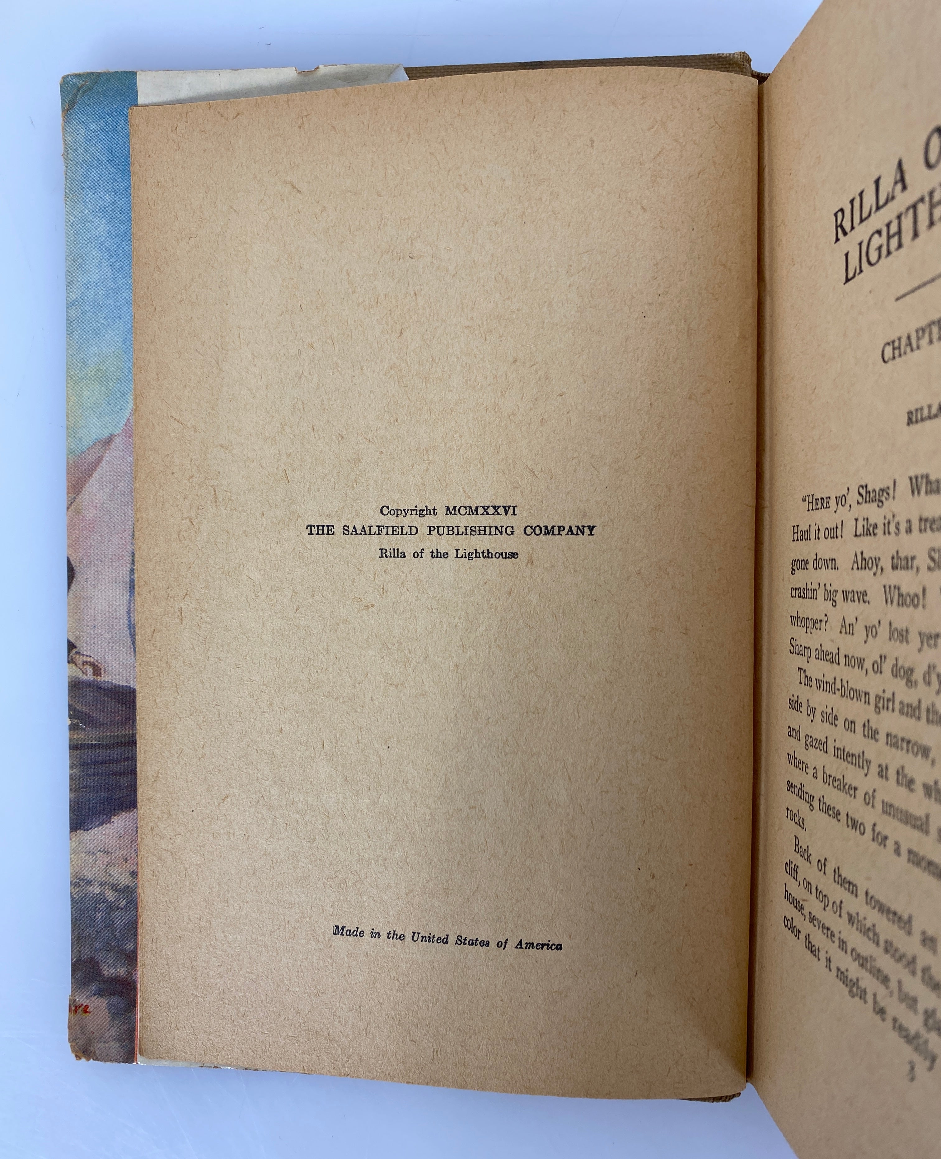 Rilla of the Lighthouse by Grace May North 1926 Antique HC DJ