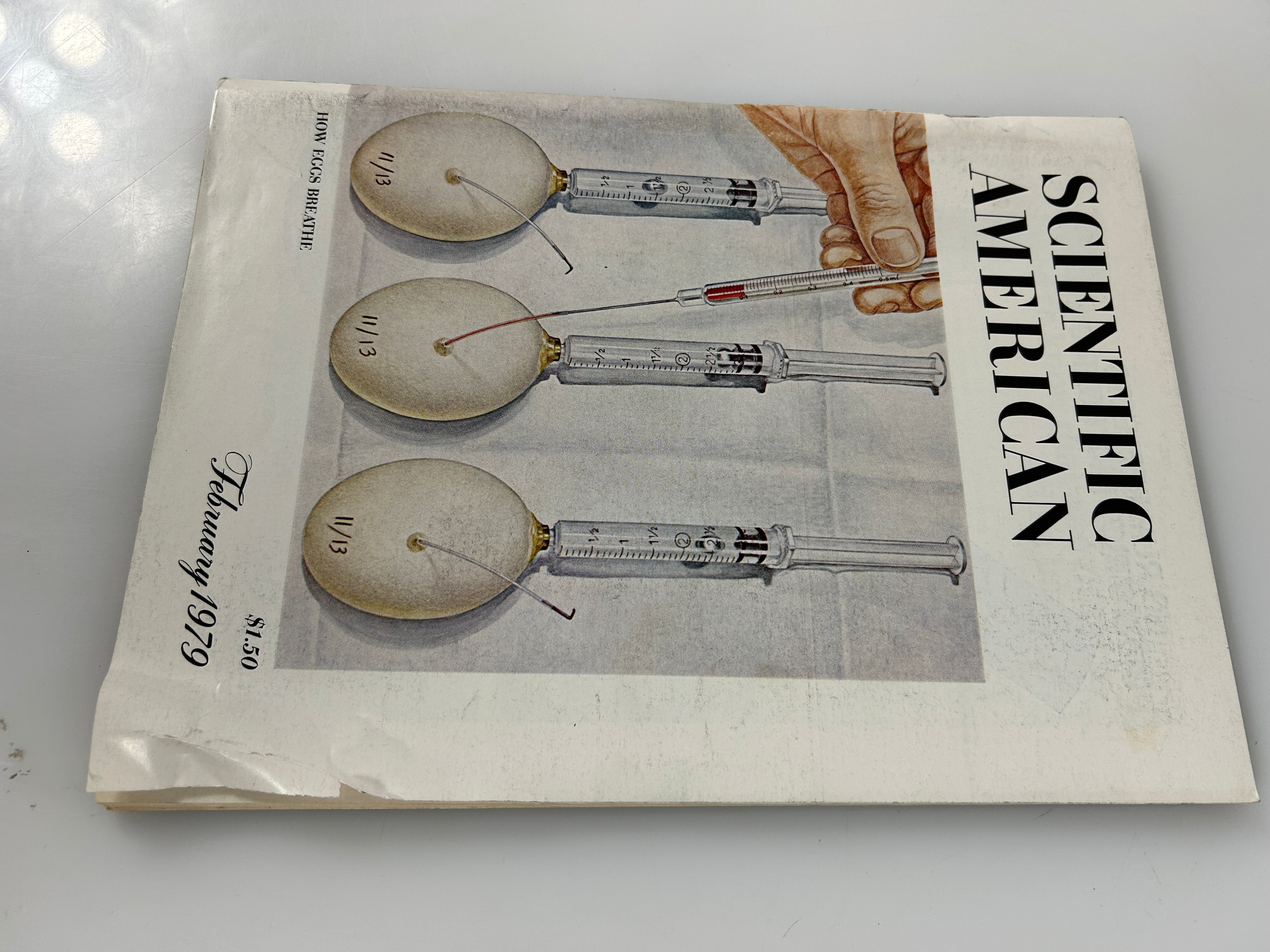 Scientific American Magazine 1979 Full Year 12 Issues Jan-Dec