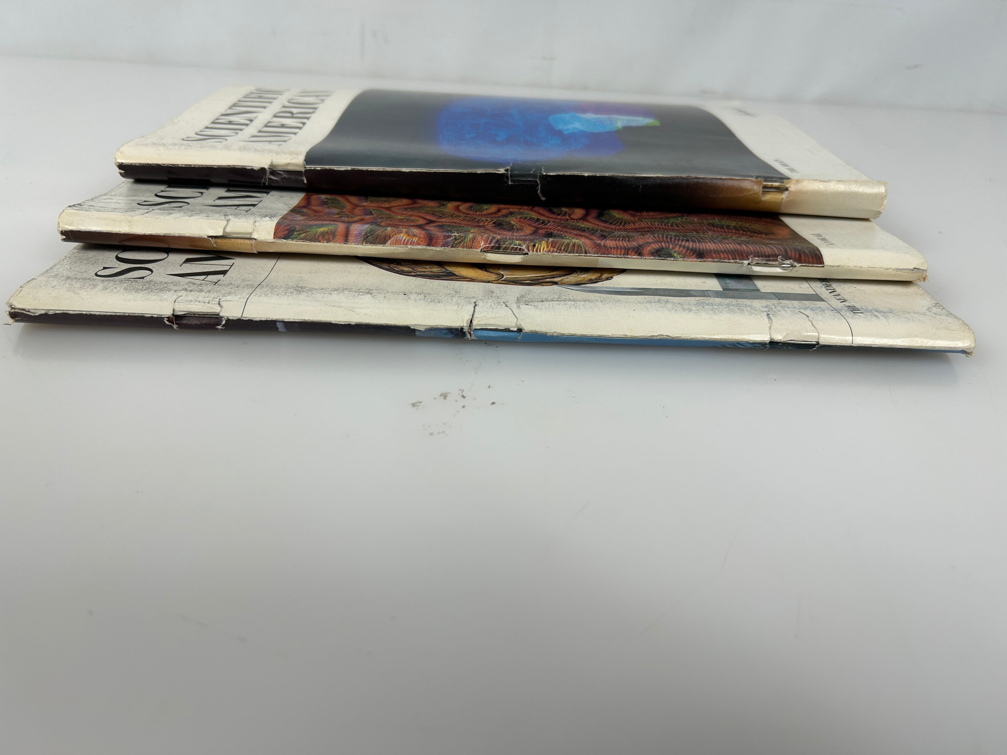 Scientific American Magazine 1979 Full Year 12 Issues Jan-Dec