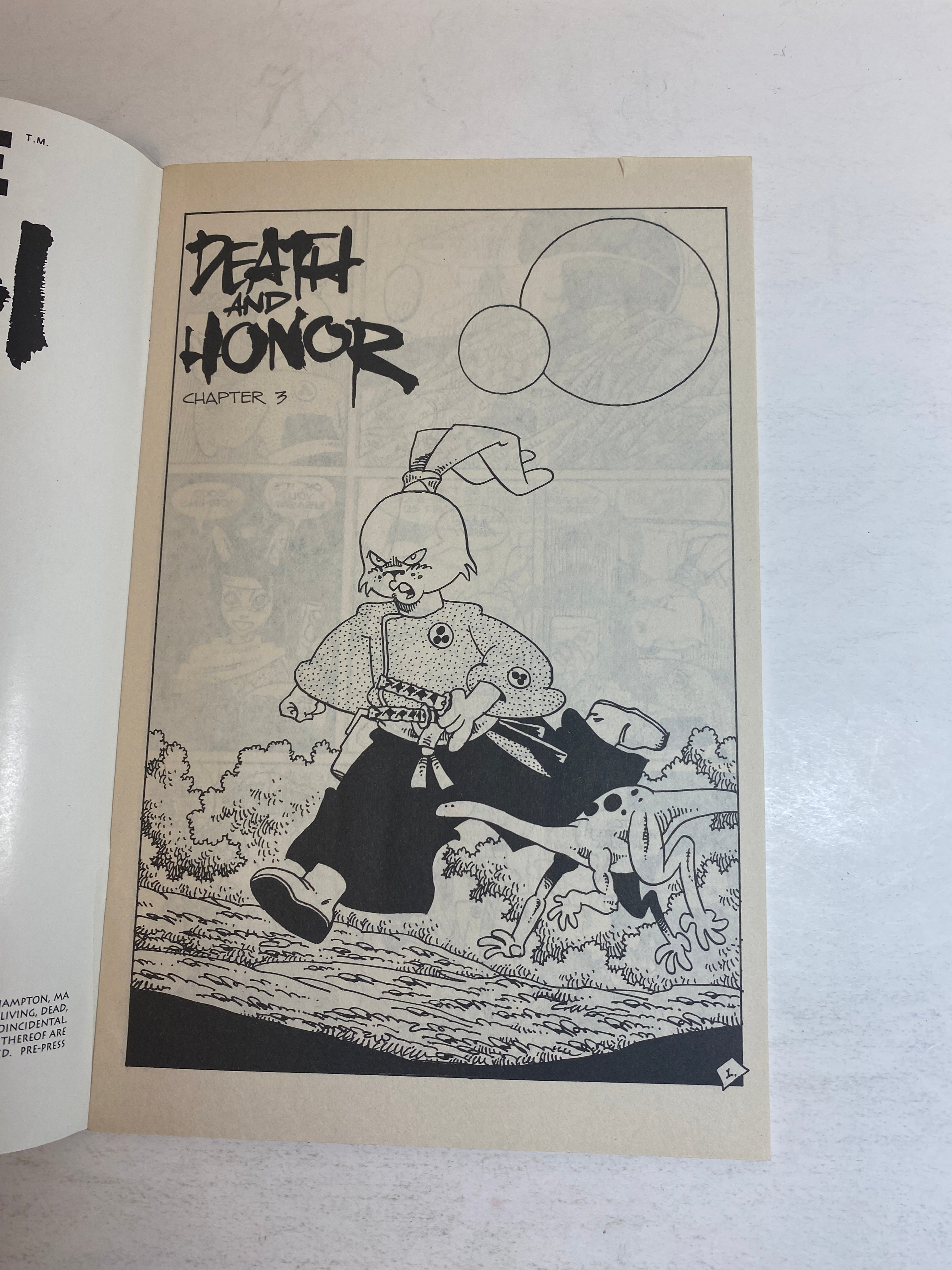 Space Usagi Mirage Part 3 of 3 Comic 1992