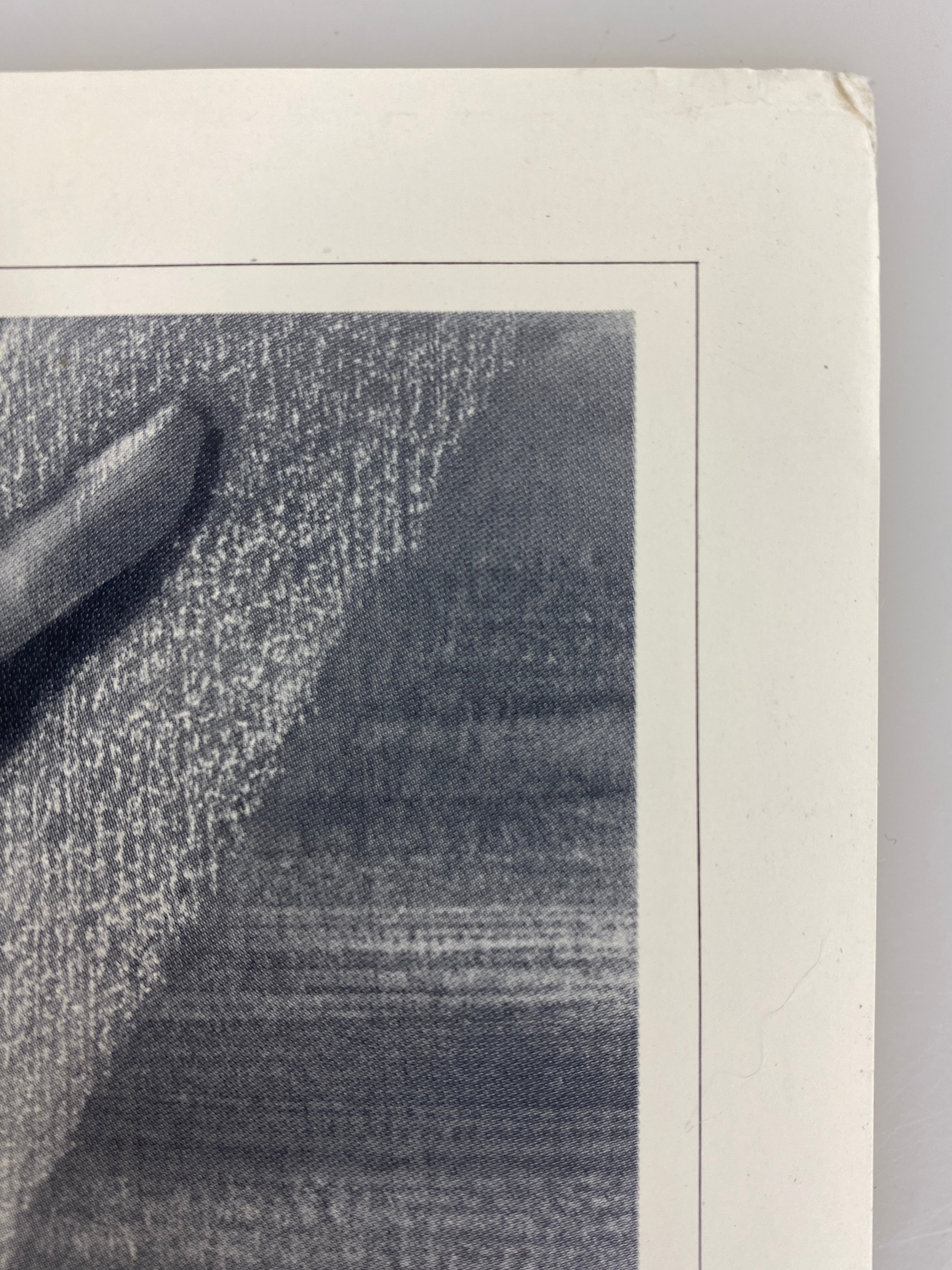 Steve Rude Nexus Reviews Copy Includes Letter and 5 Posters