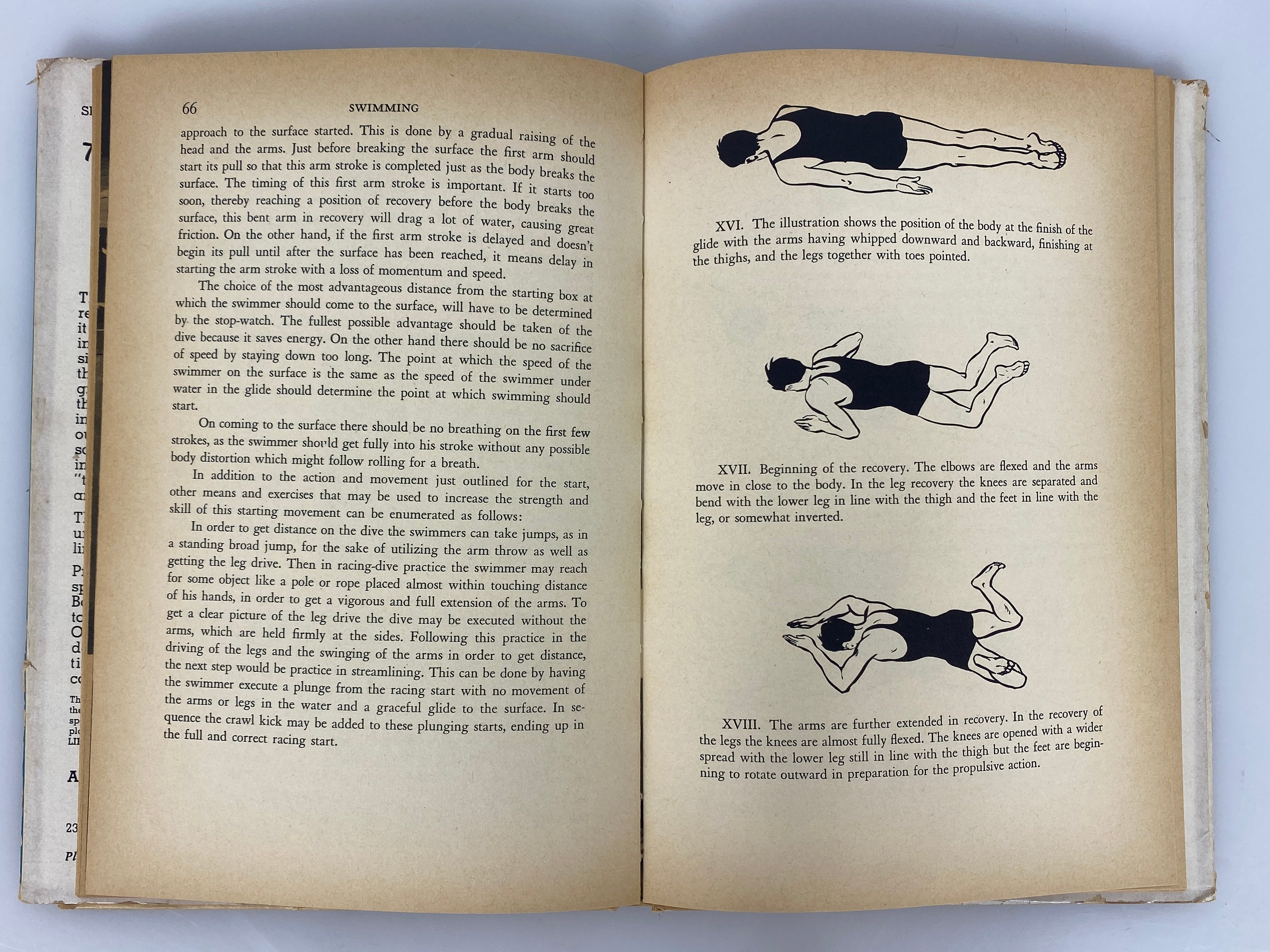 Swimming by Robert Kiphuth 1942 The Barnes Sports Library Vintage HC DJ