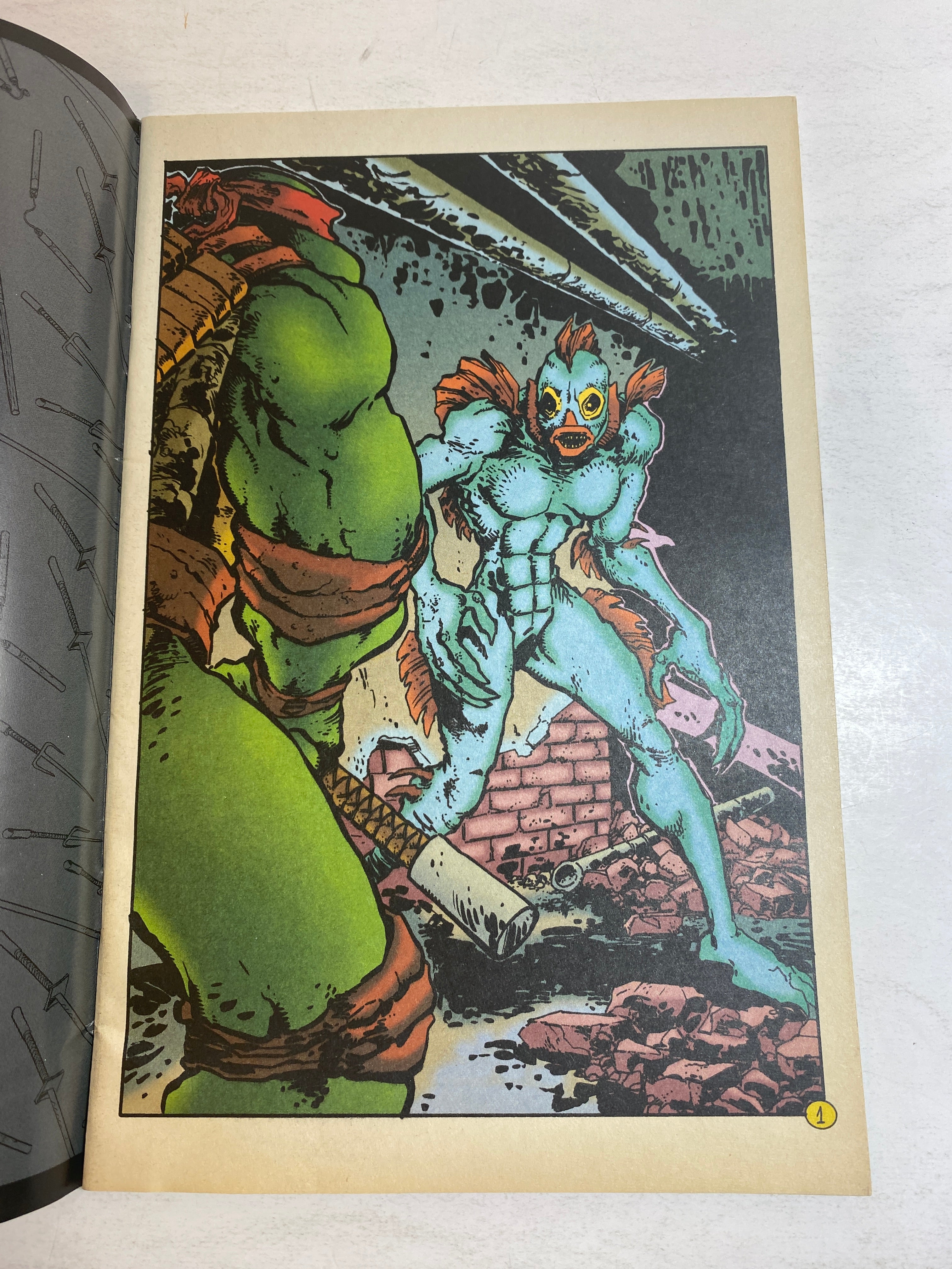 Teenage Mutant Ninja Turtles Mirage Comic Vol 2 Number 5