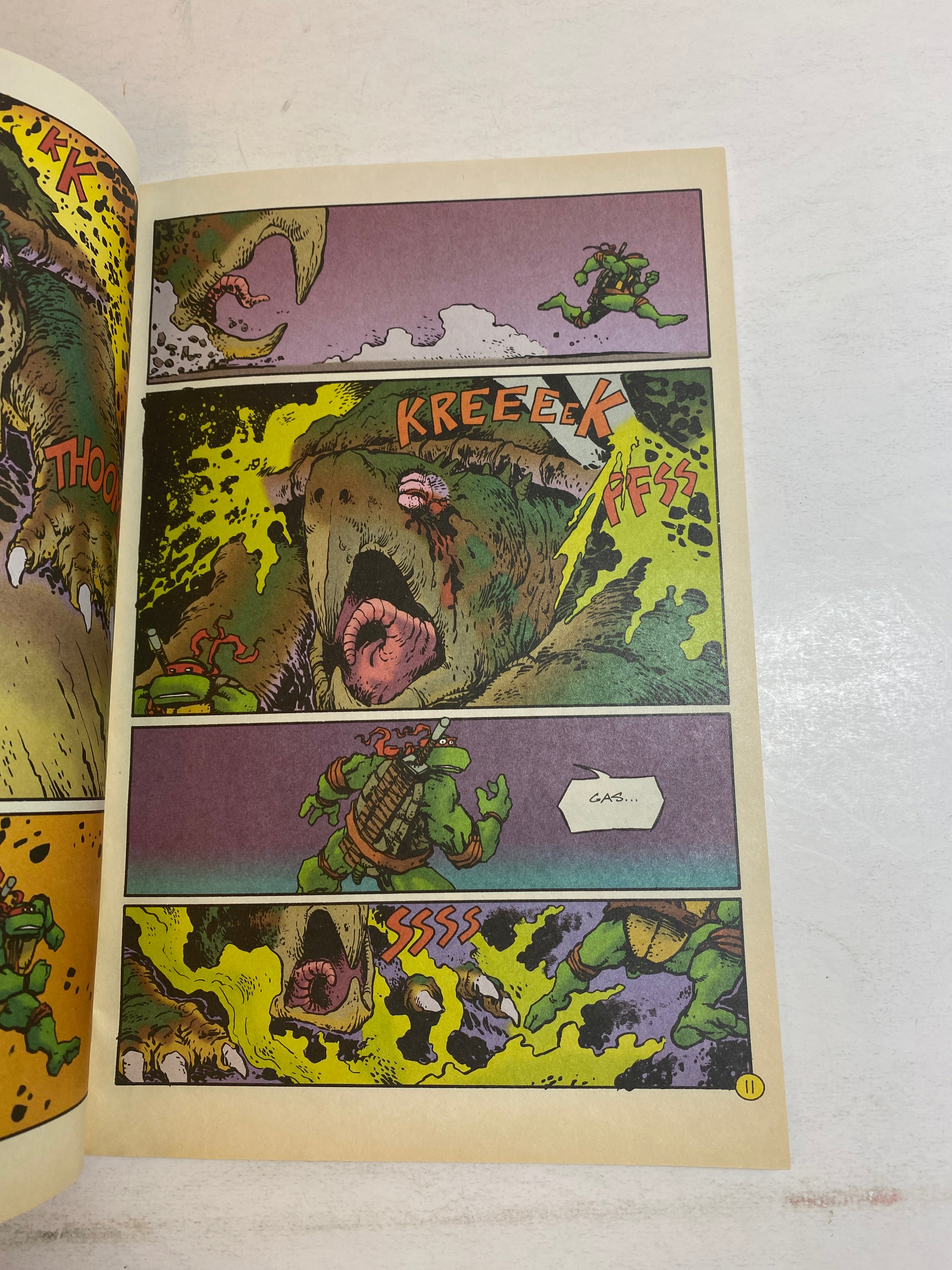 Teenage Mutant Ninja Turtles Mirage Comic Vol 2 Number 5