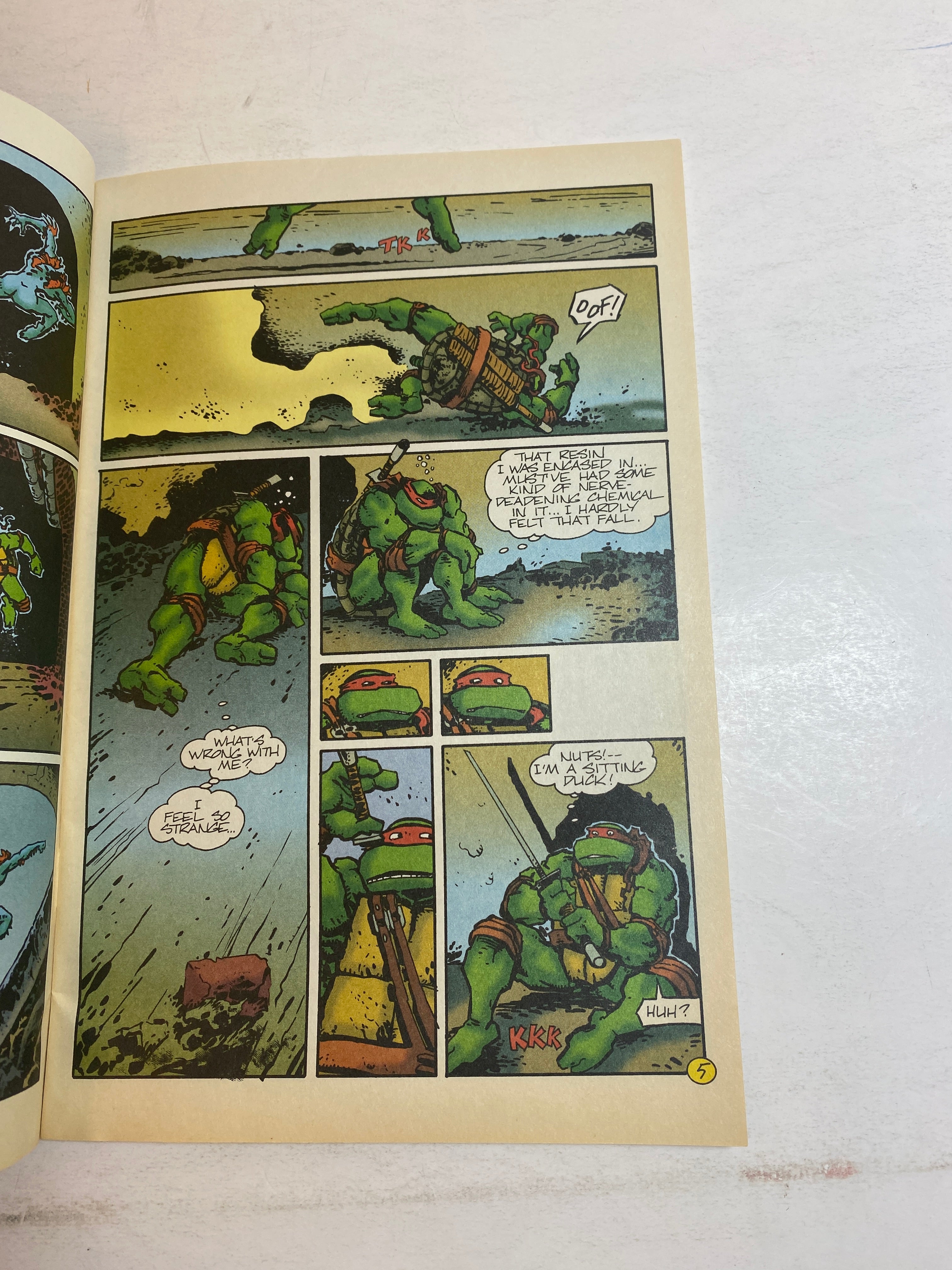 Teenage Mutant Ninja Turtles Mirage Comic Vol 2 Number 5