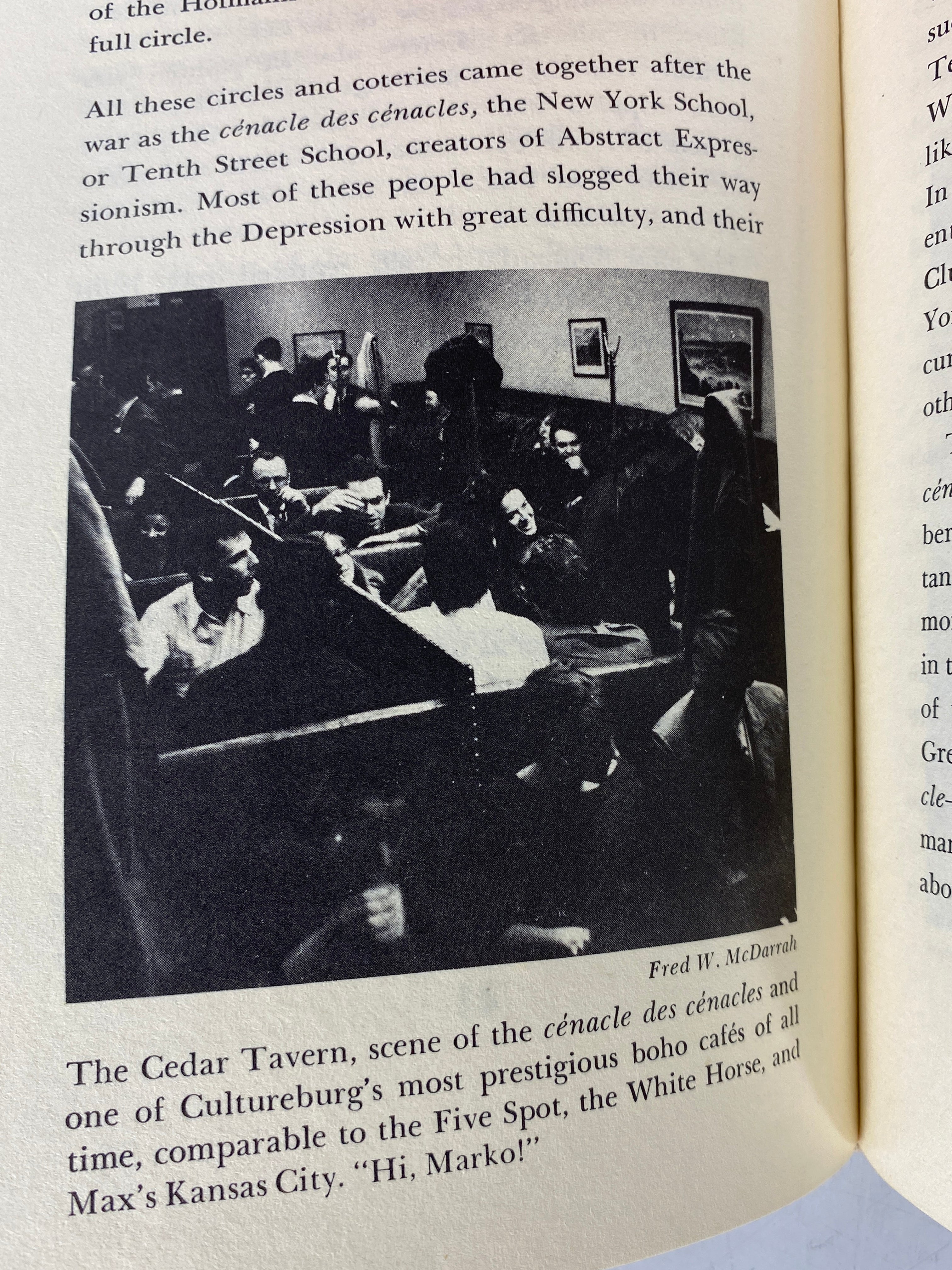 The Painted Word by Tom Wolfe 1975 First Printing HC DJ