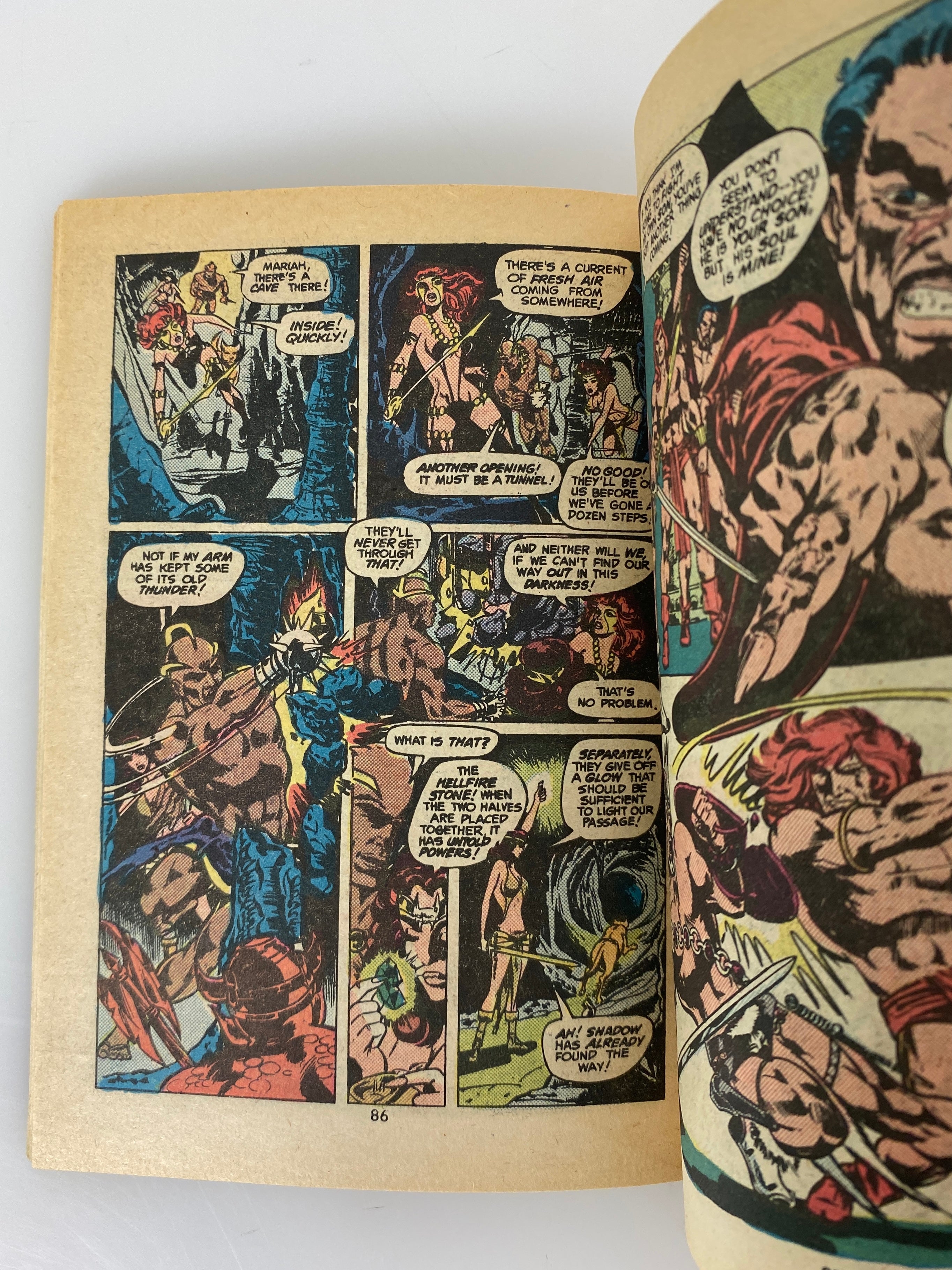 The Warlord Blue Ribbon Digest 1981