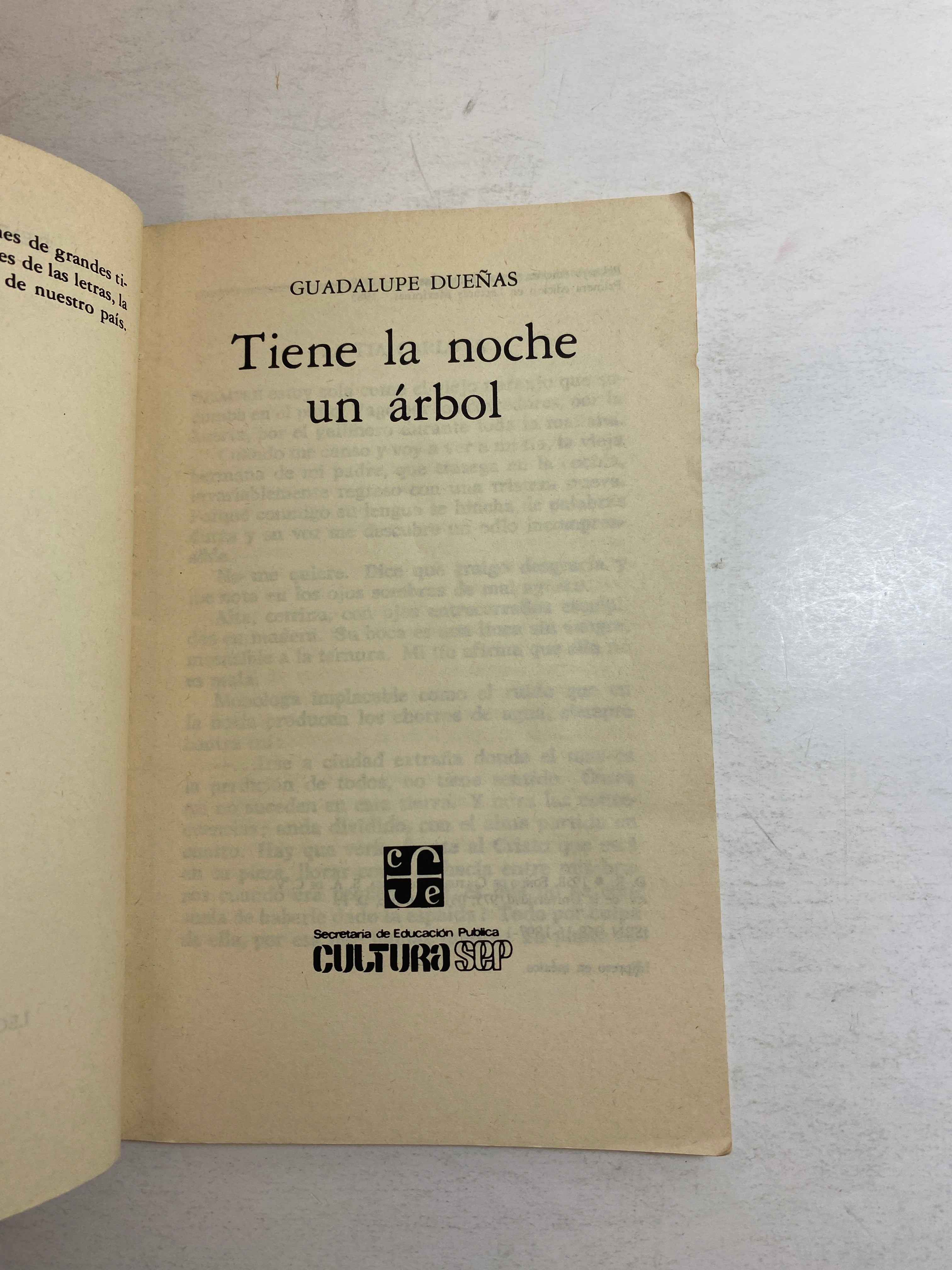 Tiene la Noche un Arbol Guadalupe Duenas 1958