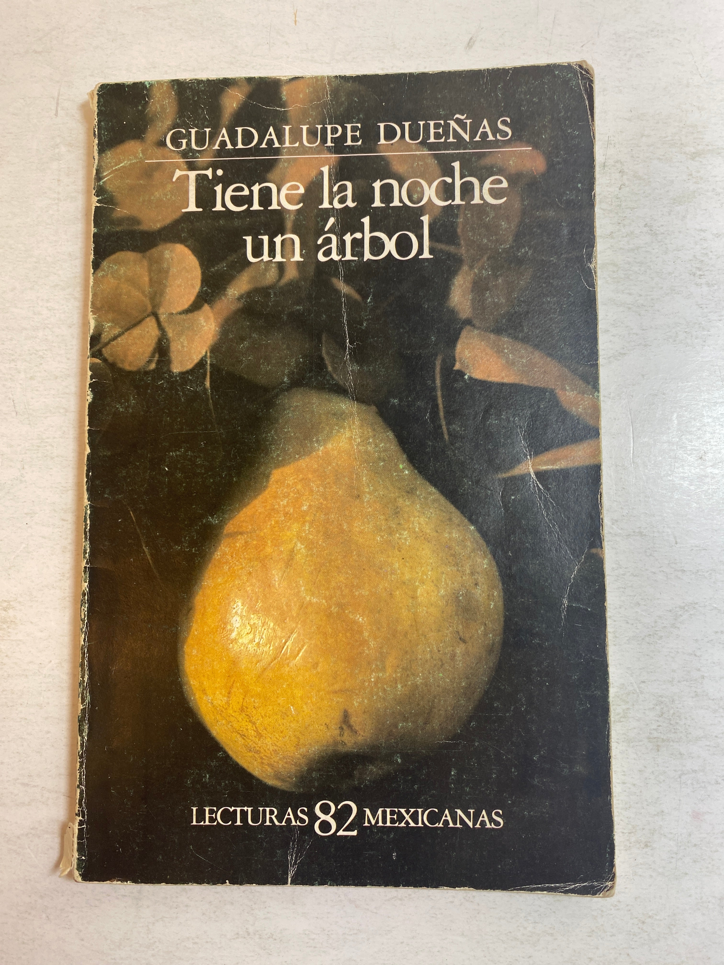 Tiene la Noche un Arbol Guadalupe Duenas 1958