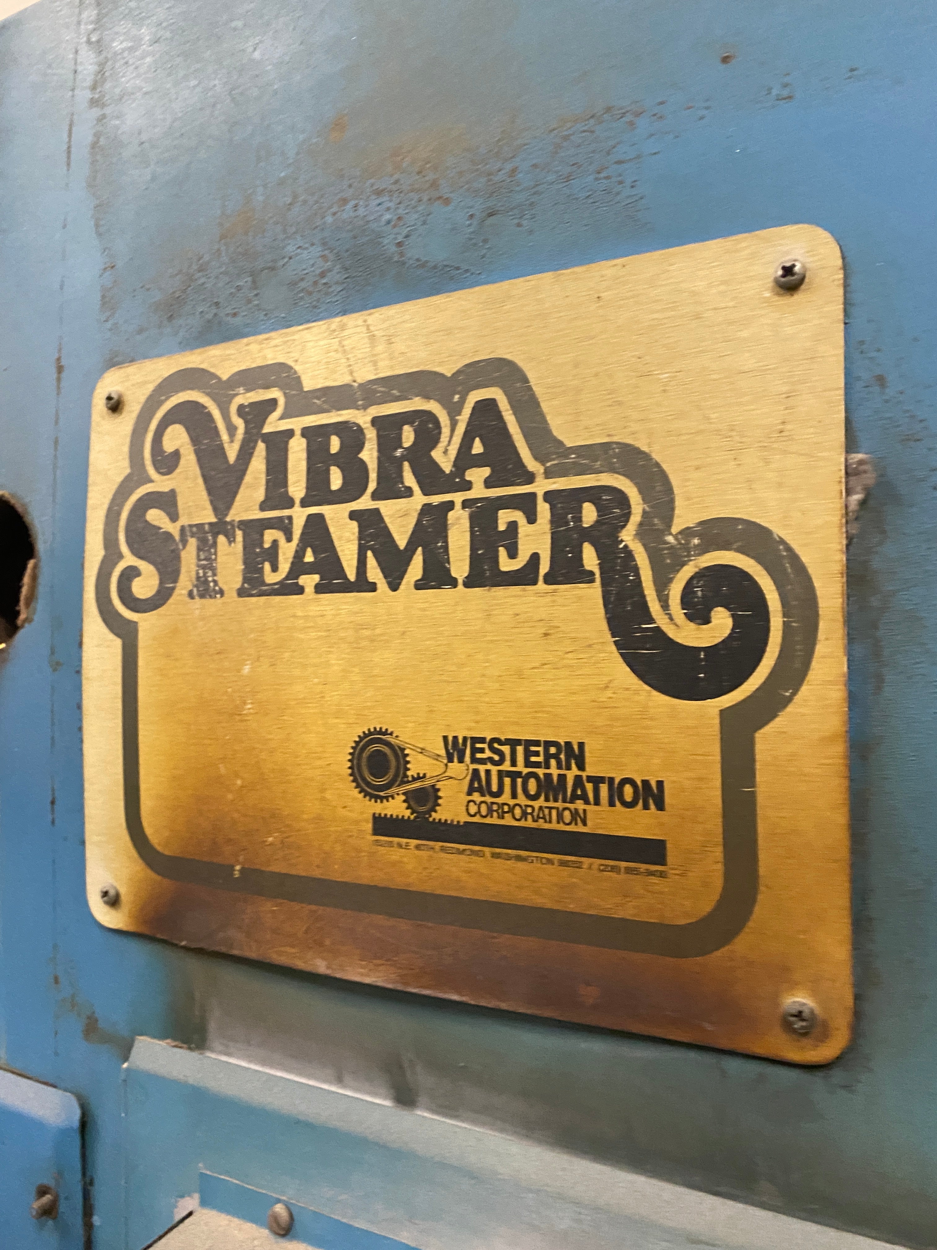 Vibra Steamer #LDJ48R11 Industrial Clothing Steamer