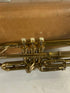 Vintage Holton-Clarke Long Maple Cornet