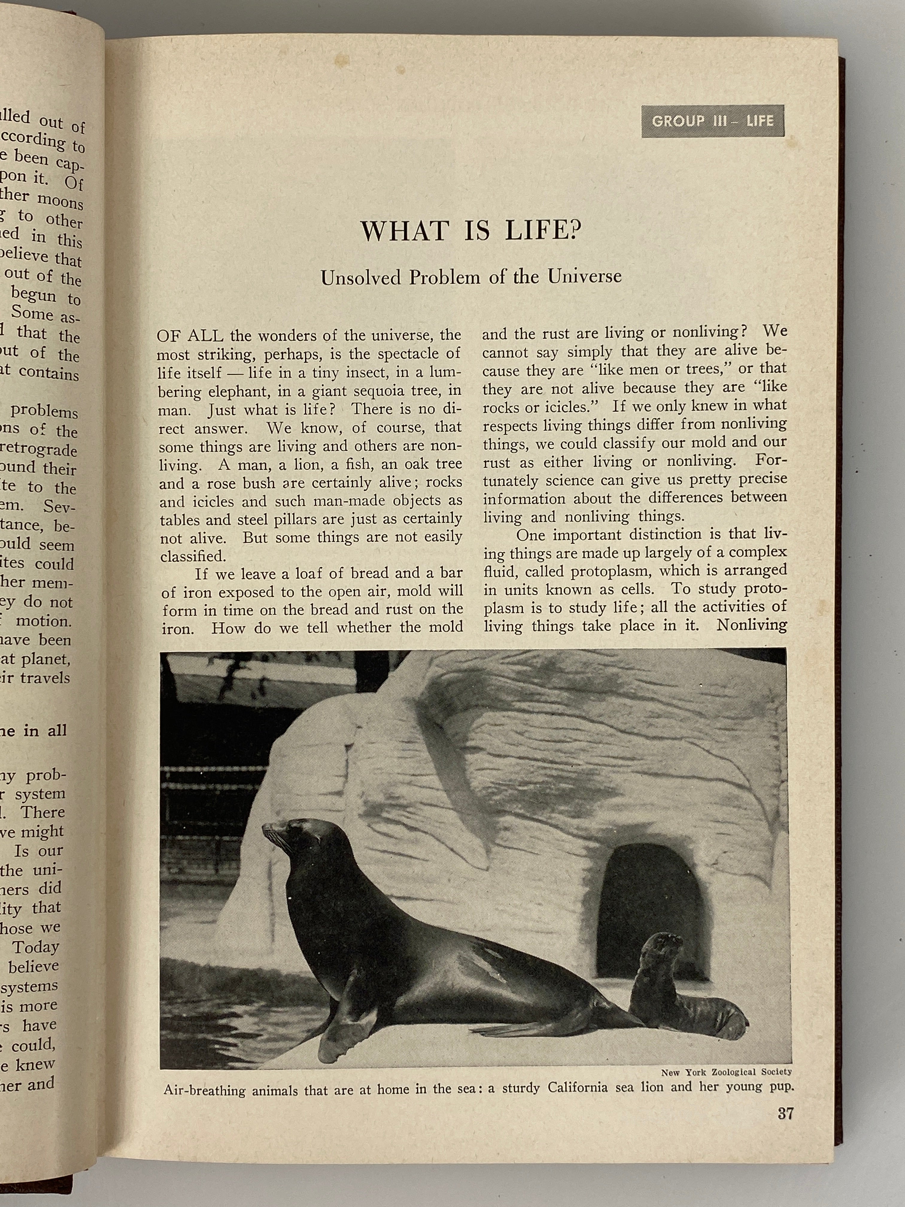 Vol 1-9 of The Book of Popular Science 1955 Grolier Society Vintage HC