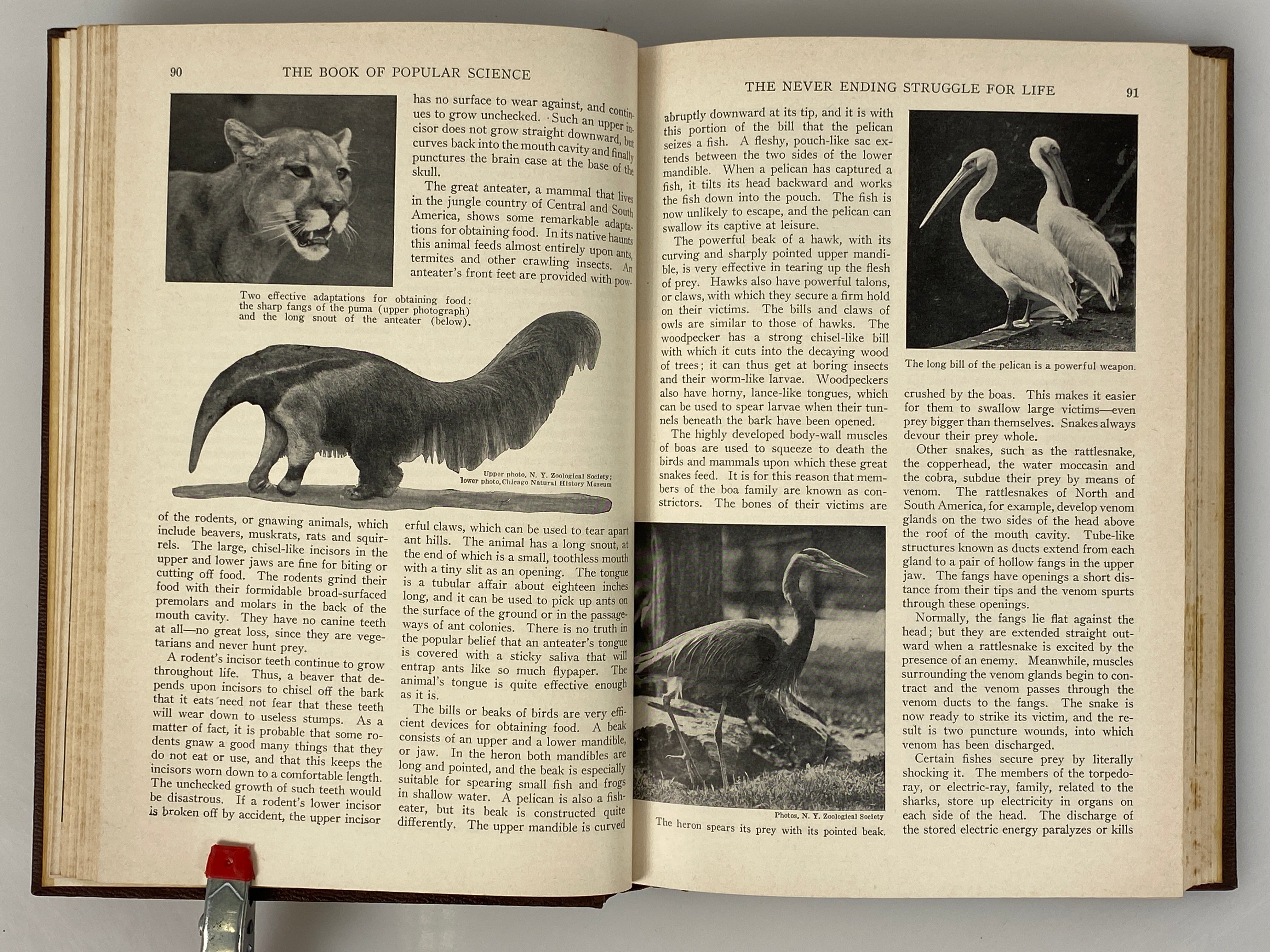 Vol 1-9 of The Book of Popular Science 1955 Grolier Society Vintage HC