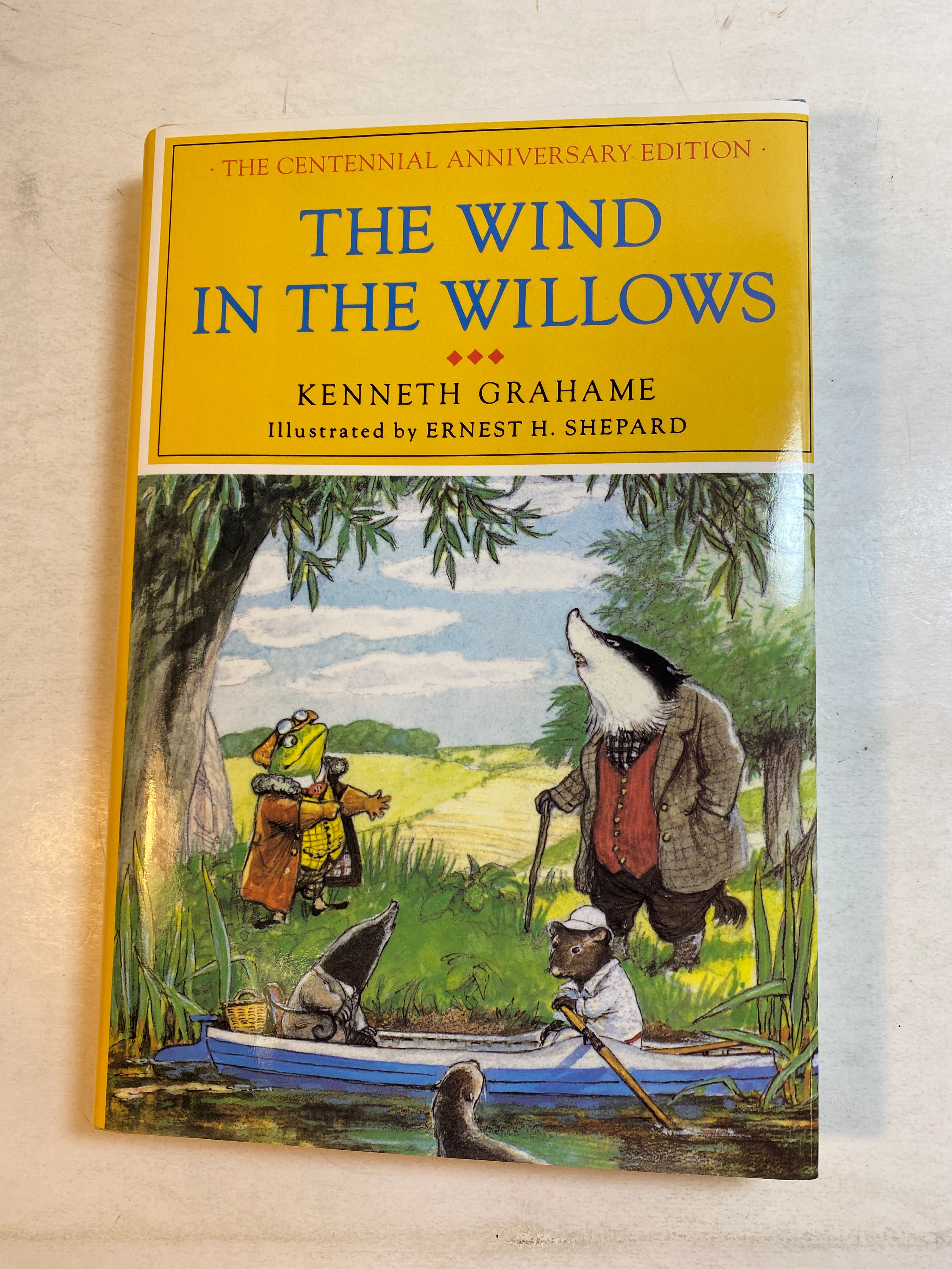 Wind in the Willows Kenneth Grahame 1983 HCDJ